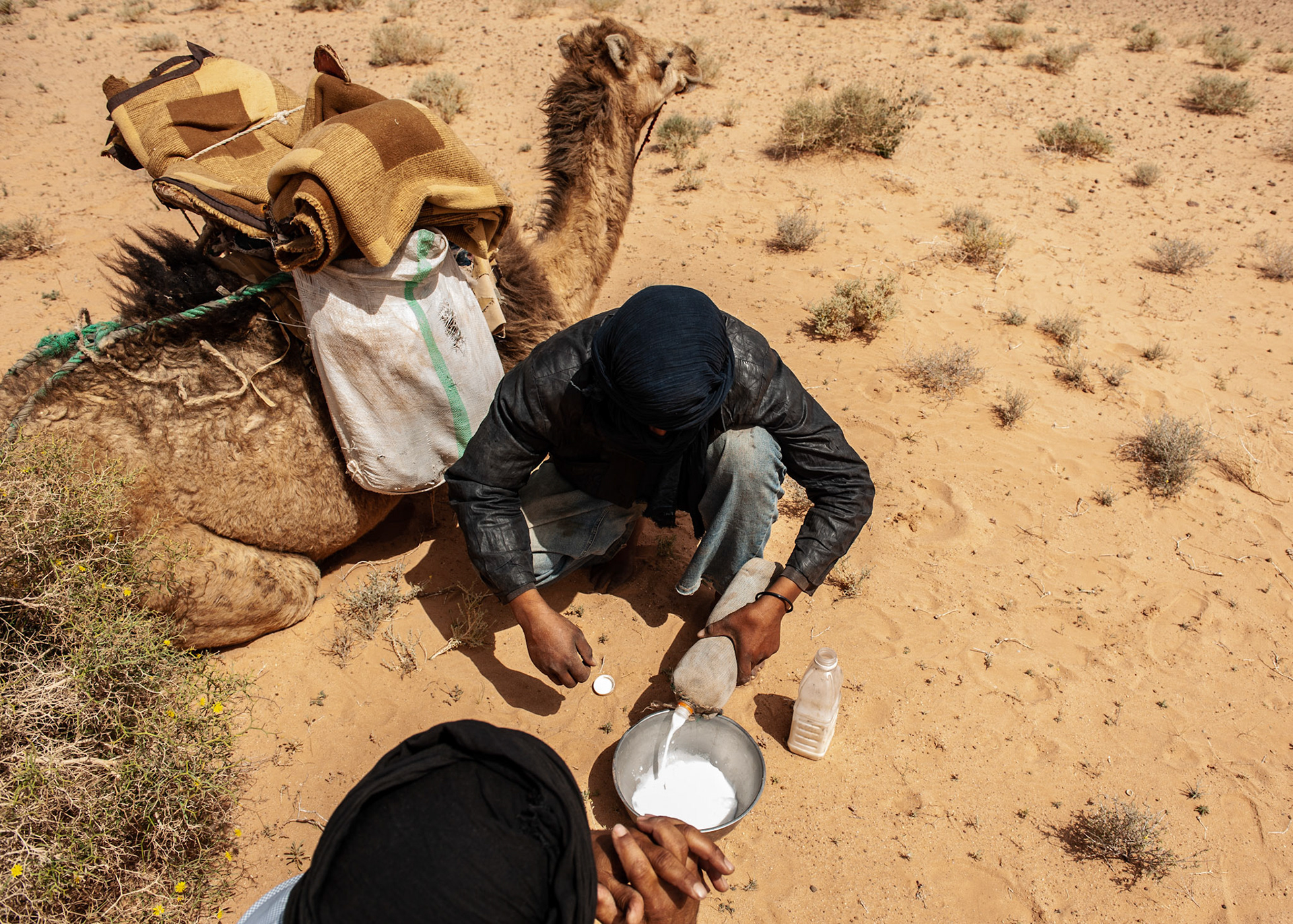 Western Sahara