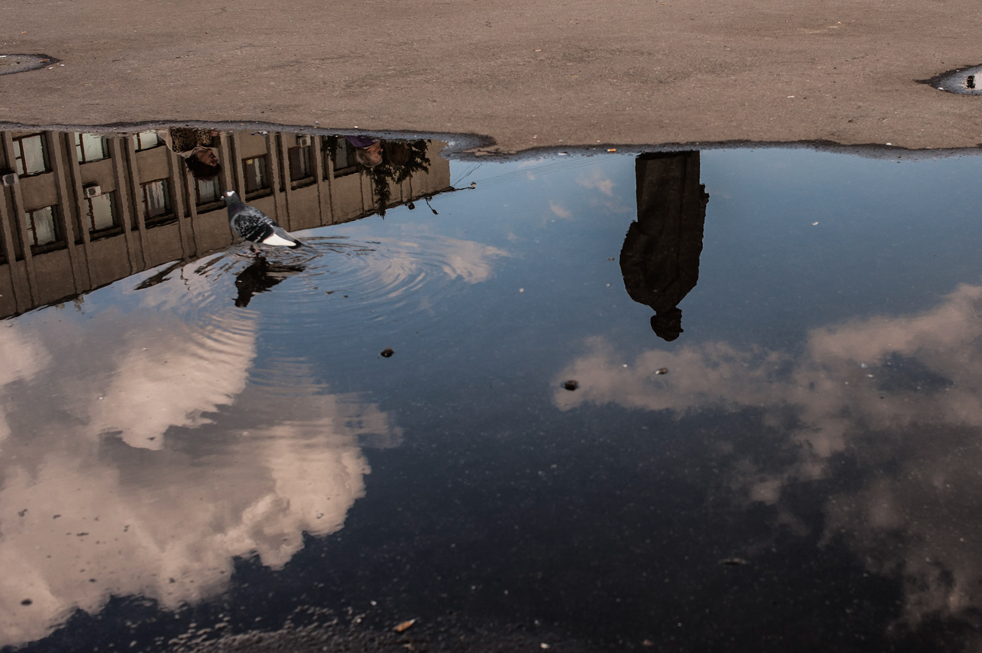 The reflection of a Lenin statue in a puddle in Slavyansk main square.