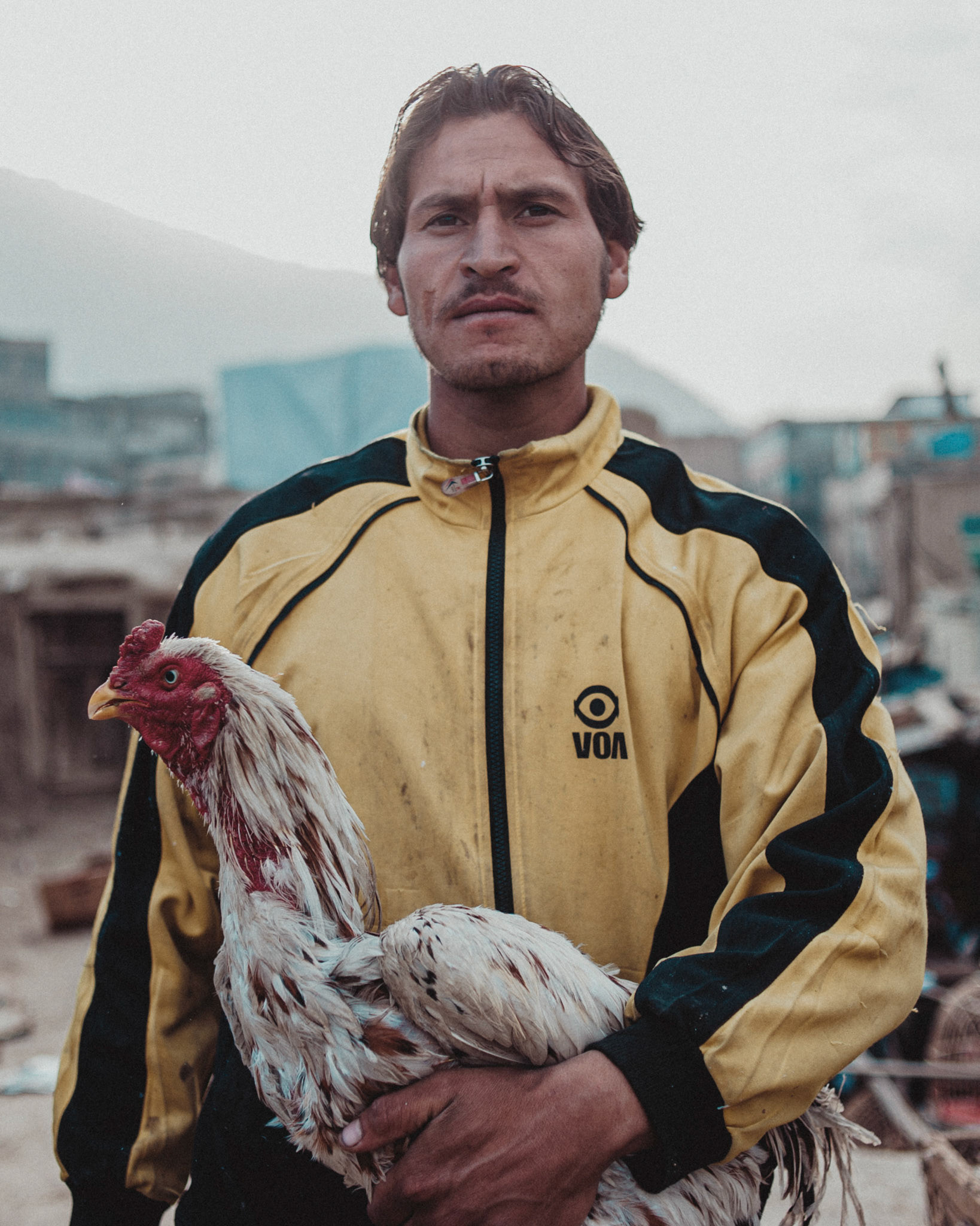 Bird market, Kabul, Afghanistan on November 15, 2012.