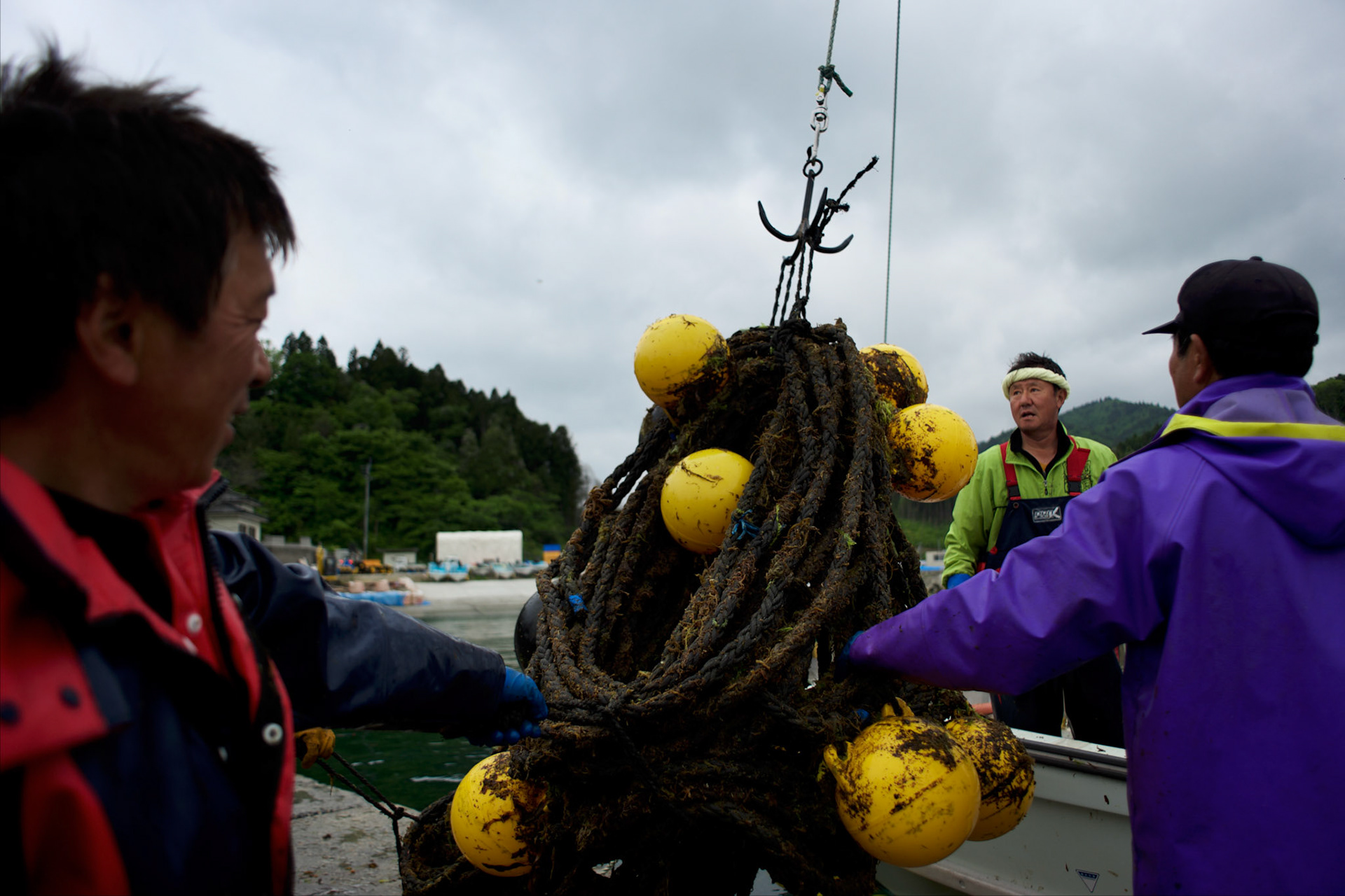 Local fishermen in Togura, arrive at the local port after collecting ropes used to grow sea weed. Togura, a small fishing village in Minami Sanriku, was vastly destroyed by the 2011 tsunami that hit the northeast coast of Japan. Thousands died and hundreds of families lost their houses, business and boats. The recovering community works now in a cooperative system where the few remaining boats spared by the tsunami are shared by all.