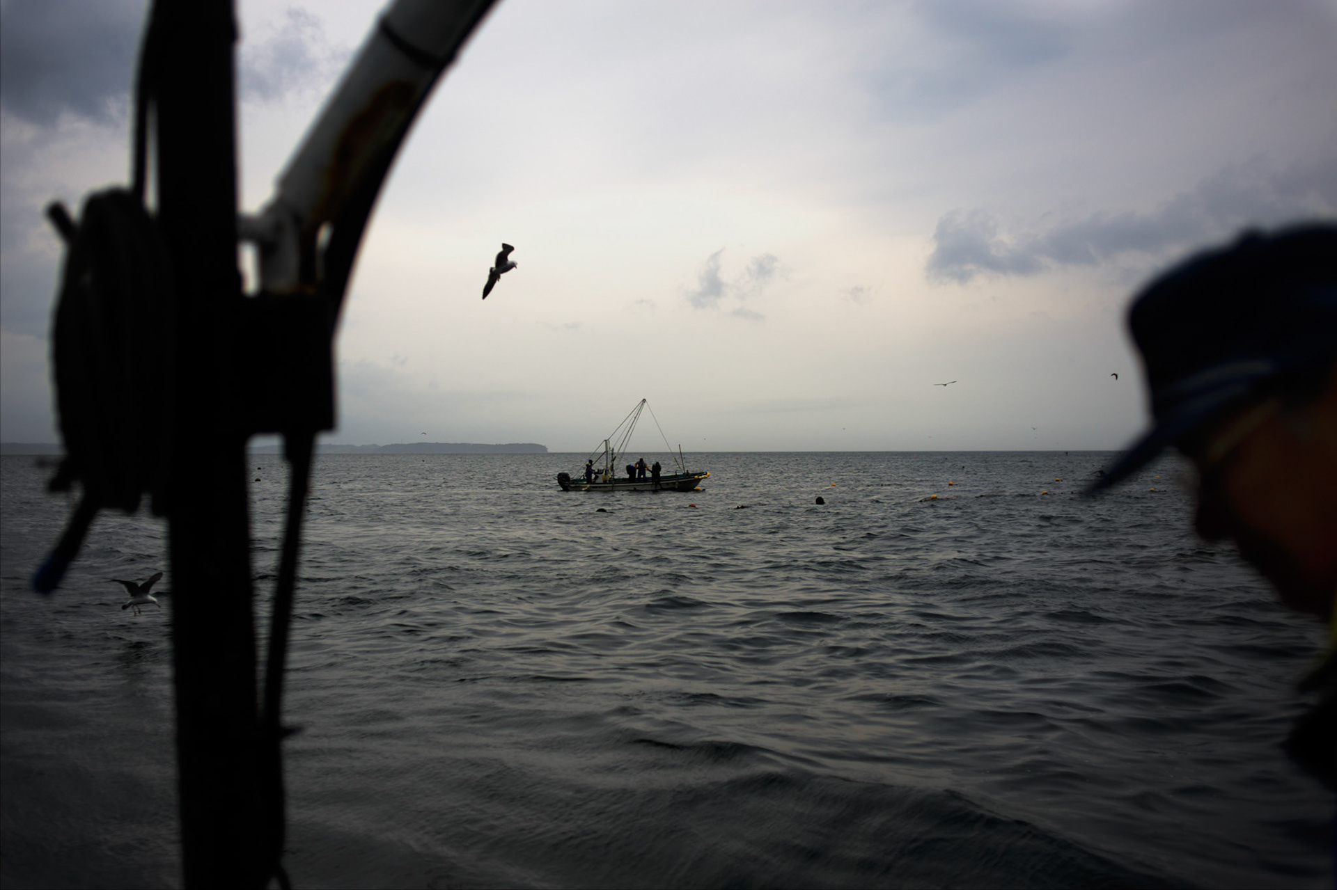 A group of fishermen from Togura, recover nets at sea near the small village of Minami Sanriku in Miyagi prefecture. Togura, a small fishing village in Minami Sanriku, was vastly destroyed by the 2011 tsunami that hit the northeast coast of Japan. Thousands died and hundreds of families lost their houses, business and boats. The recovering community works now in a cooperative system where the few remaining boats, spared by the devastating tsunami, are shared by all.