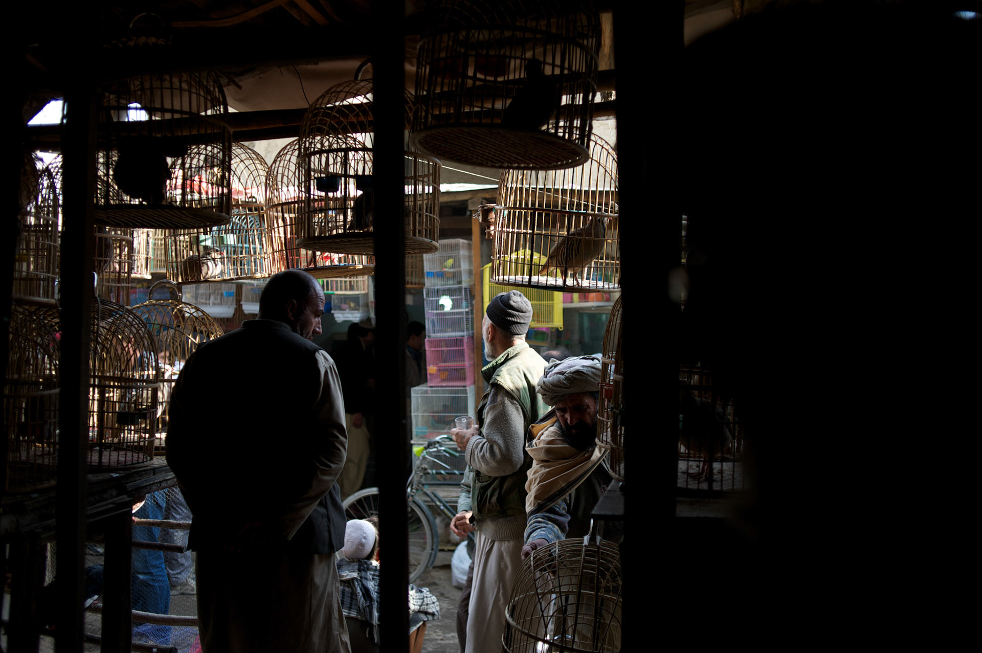 November 15, 2012 - Kabul, Afghanistan: Local merchants at the birds bazaar in central Kabul. (Paulo Nunes dos Santos)