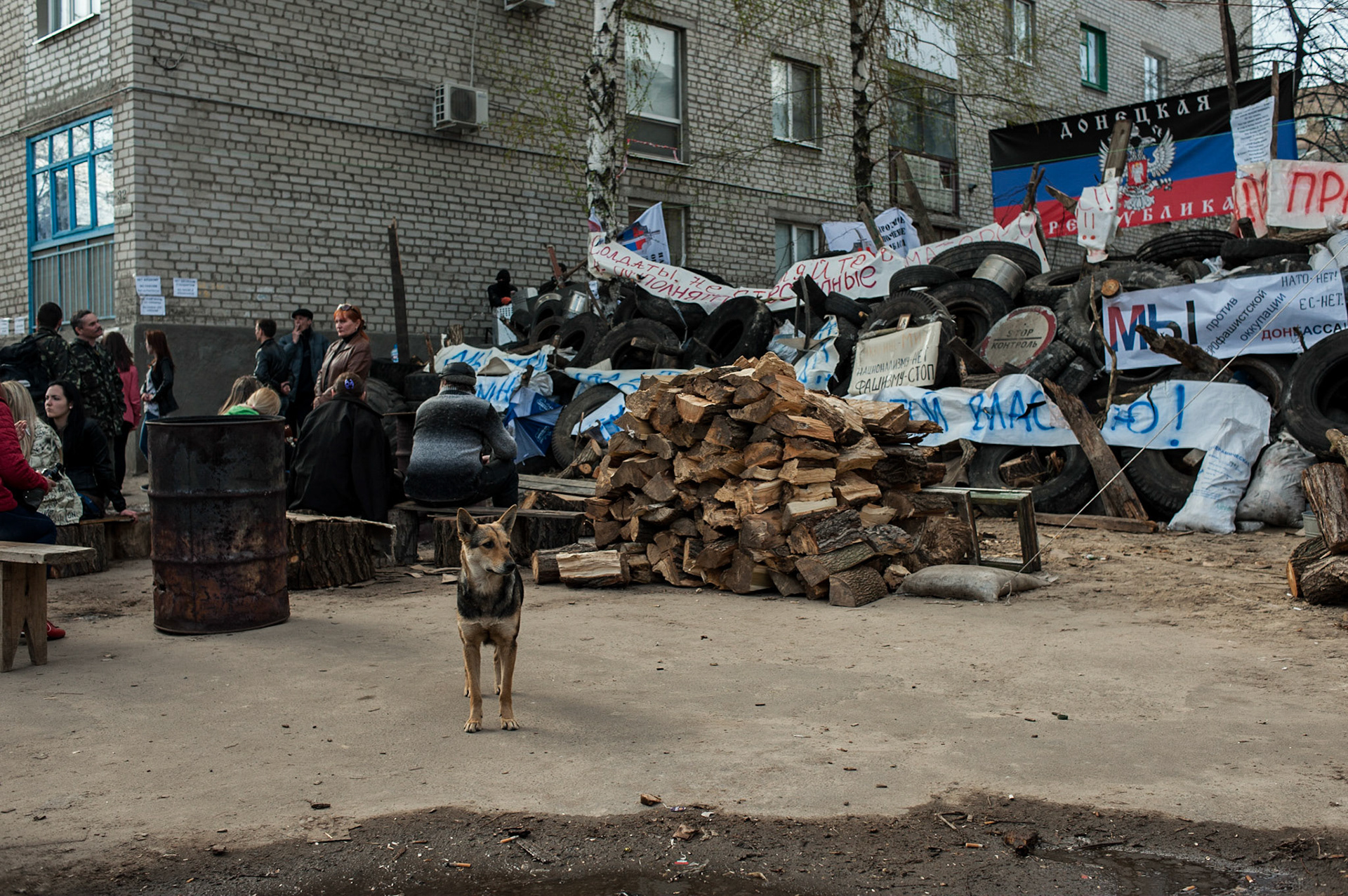 A dog stands outside the besieged police station in Slavyansk.