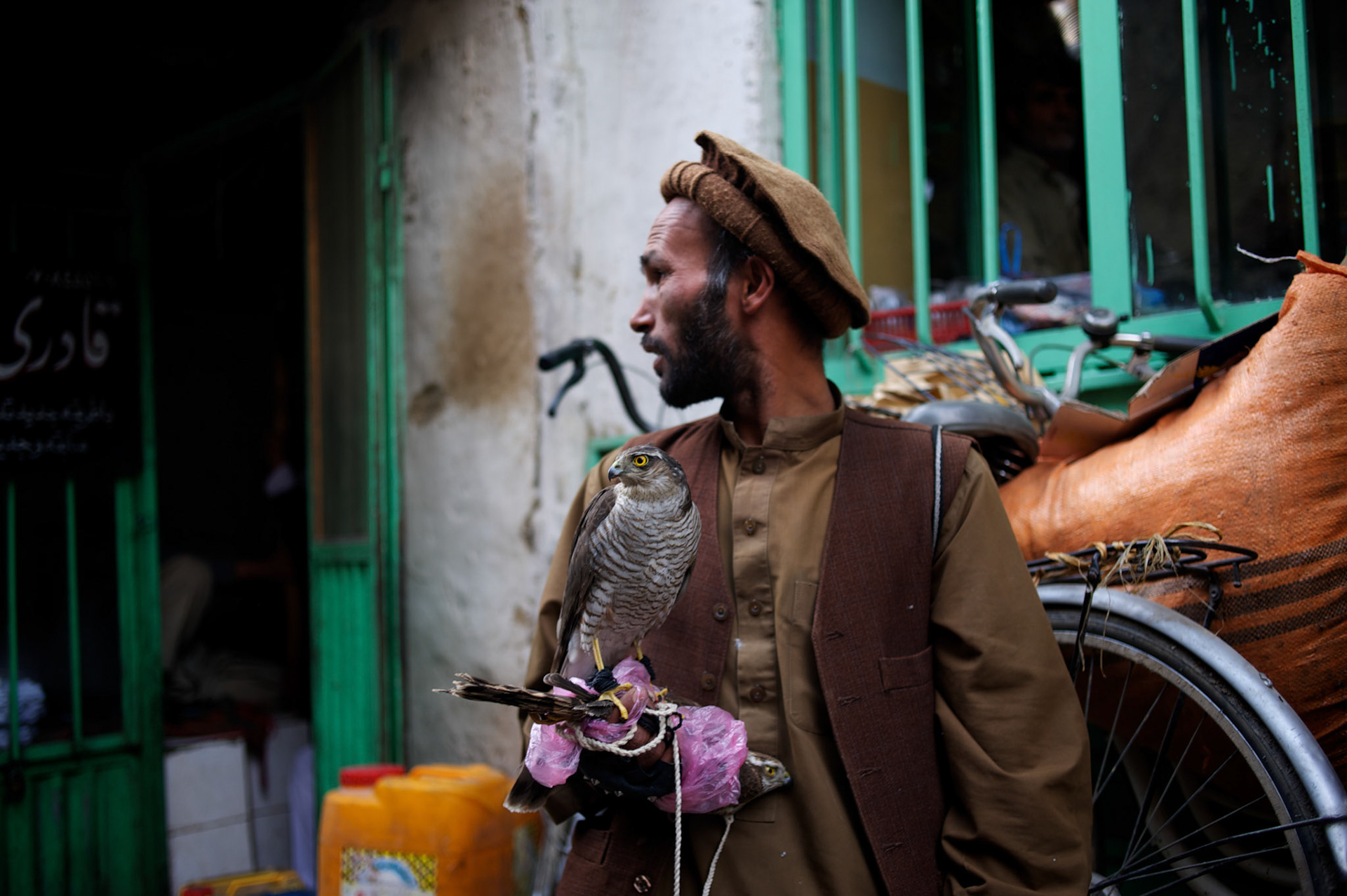 November 15, 2012 - Kabul, Afghanistan: A vendor stands holding a bird of prey at Kabul's bird bazaar. (Paulo Nunes dos Santos)