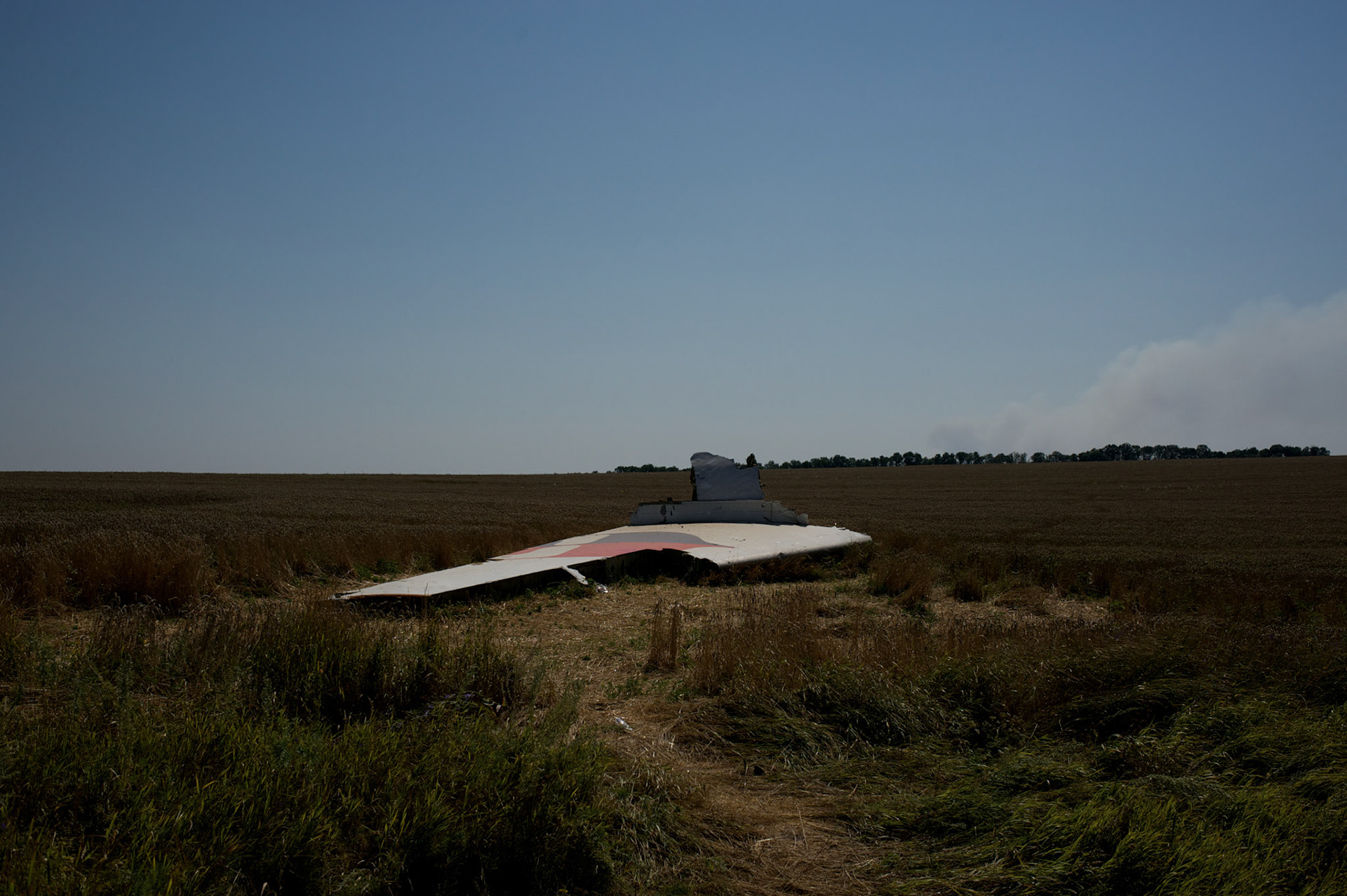 Wreckage of the Malaysia Airlines flight MH17 rests on a field in Grabovo.