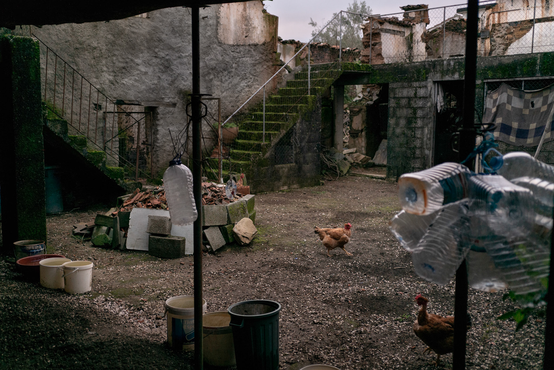 Quando foi seguro regressar à localidade ainda a arder, conduziram de volta e encontraram os restos da sua casa e todas as suas poupanças de uma vida destruídos sem possibilidade de reparação. “Todas as janelas e portas eram de madeira, à antiga. Lembro-me de chegar lá e só ver as paredes, e foi isso que aconteceu. Tanto assim foi que as vigas que eu tinha colocado em alumínio estavam todas amontoadas como caracóis”, disse Deolinda.