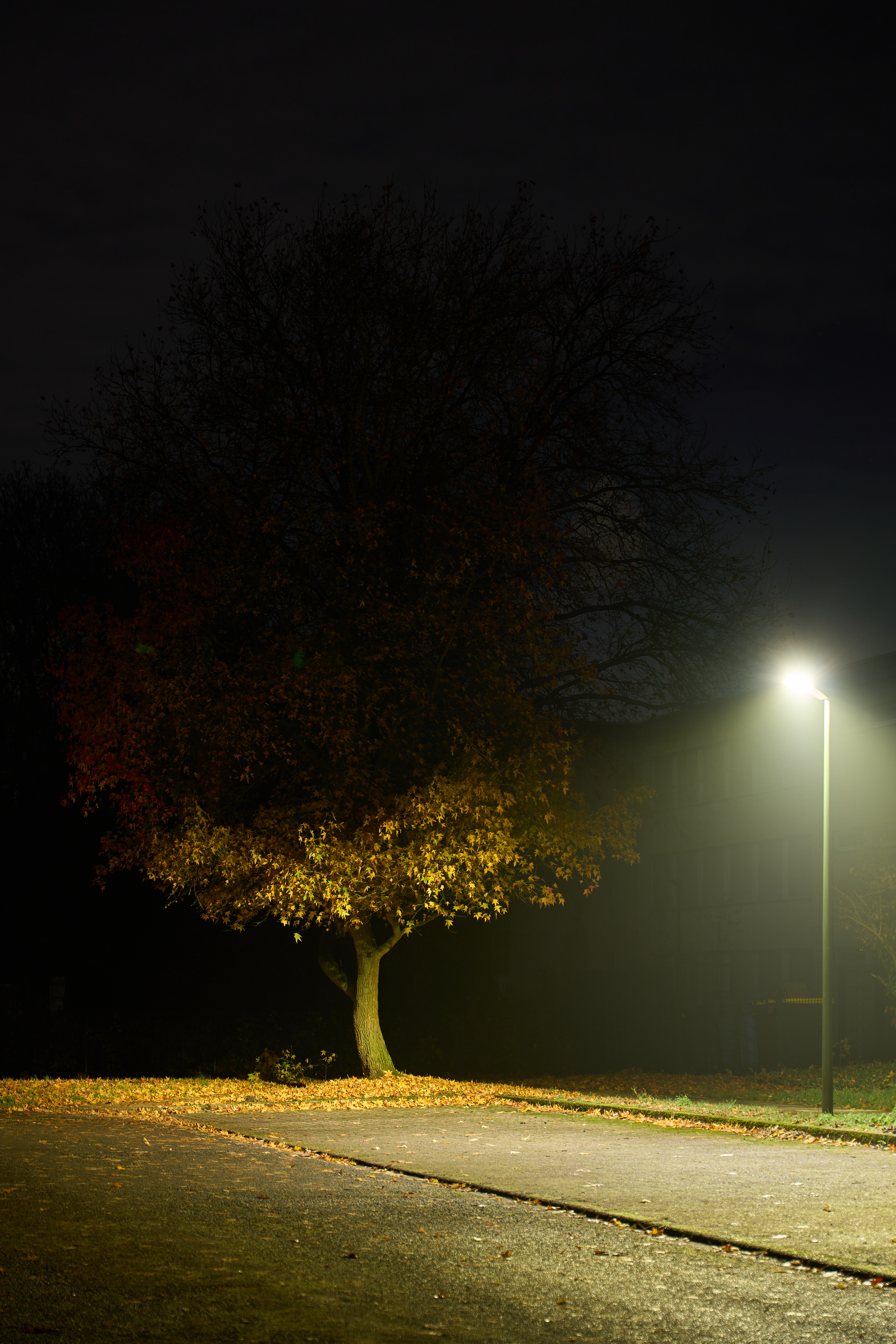 by Hannes Gutwerk