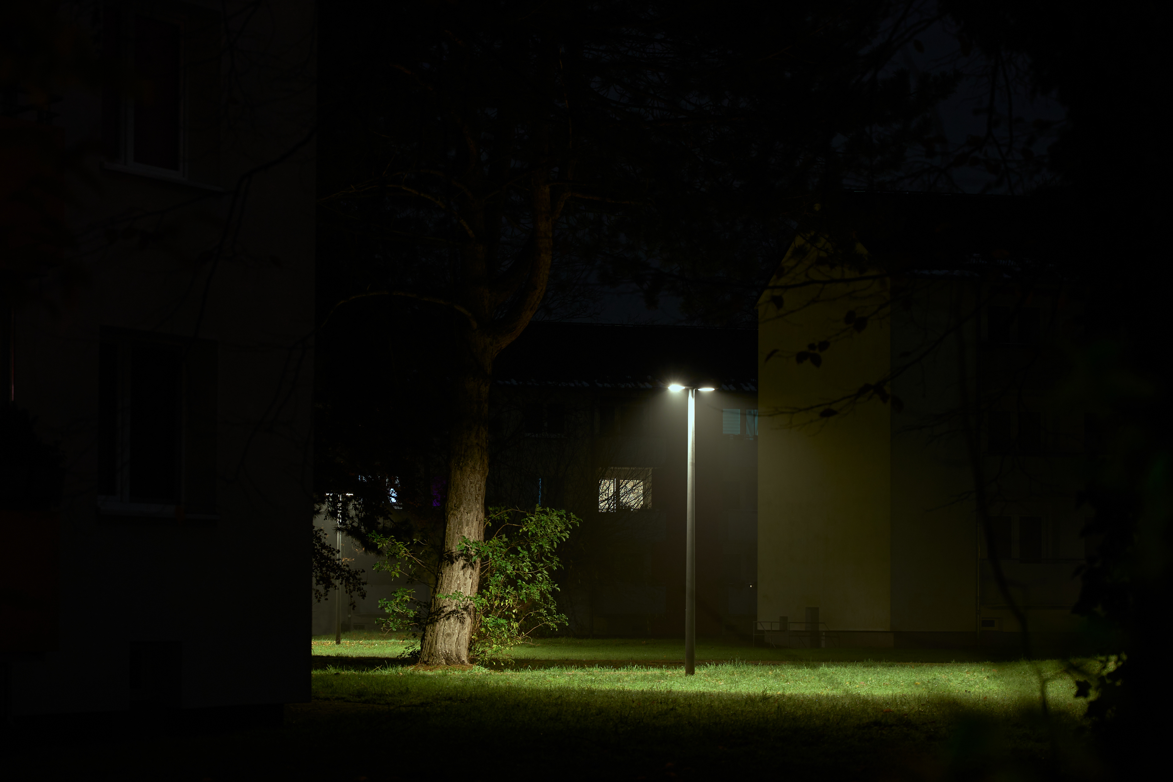 by Hannes Gutwerk