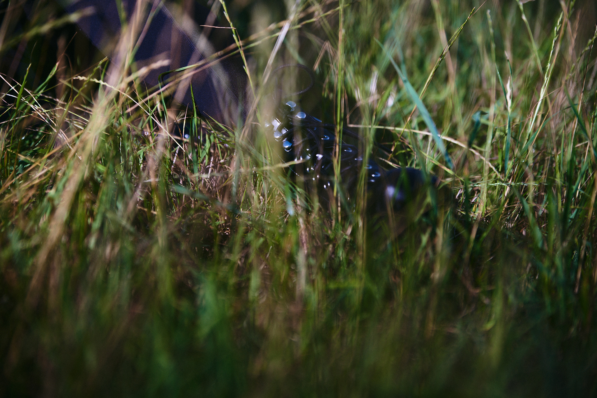 By Hannes Gutwerk