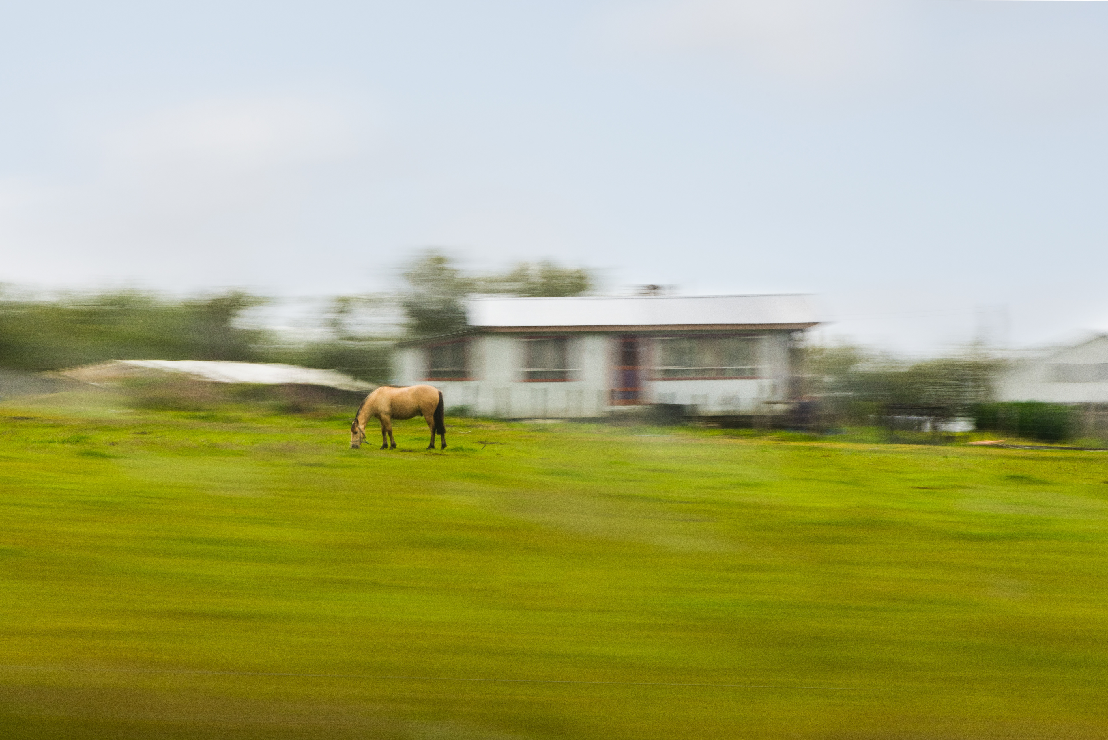 by Hannes Gutwerk chile art 