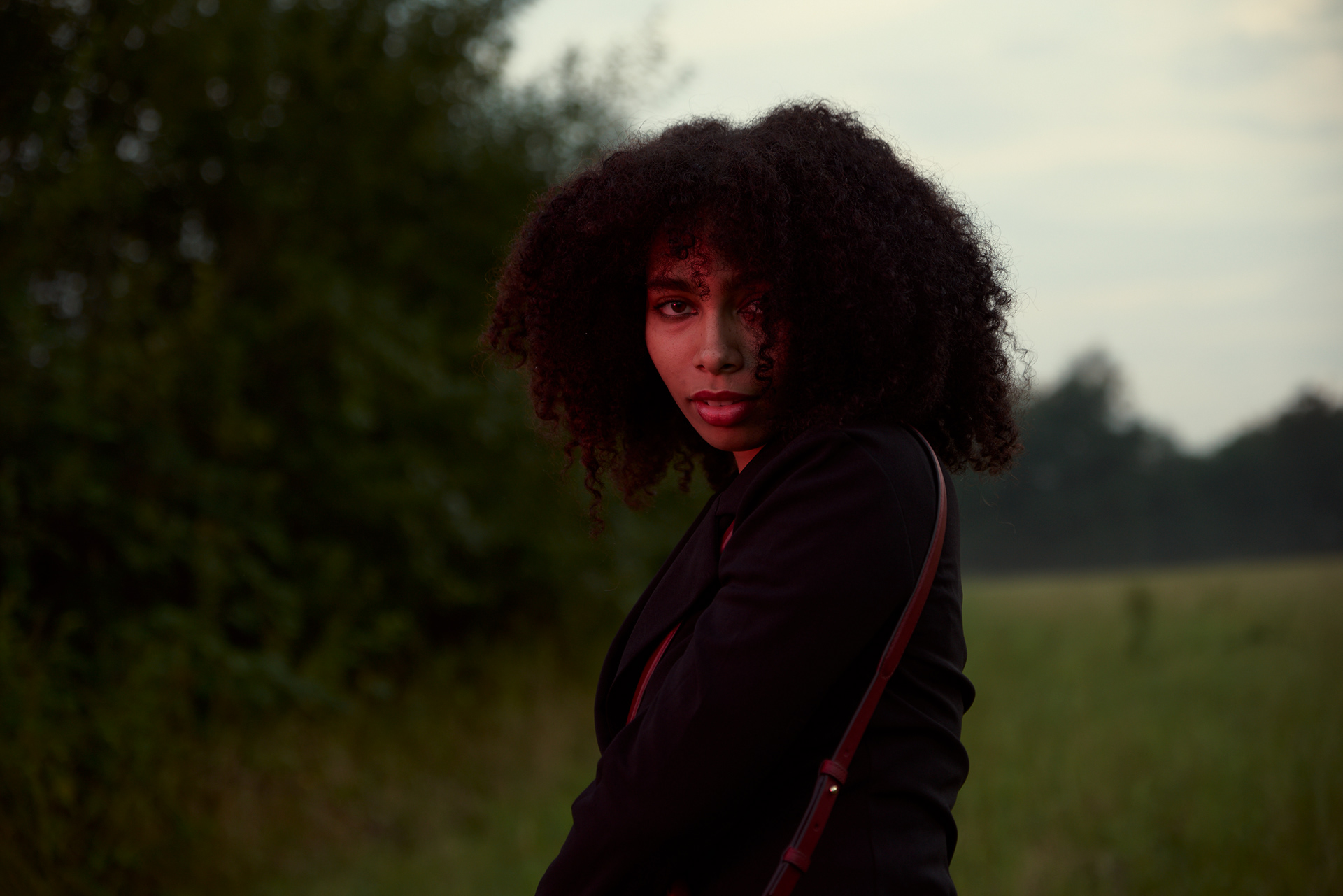 By Hannes Gutwerk