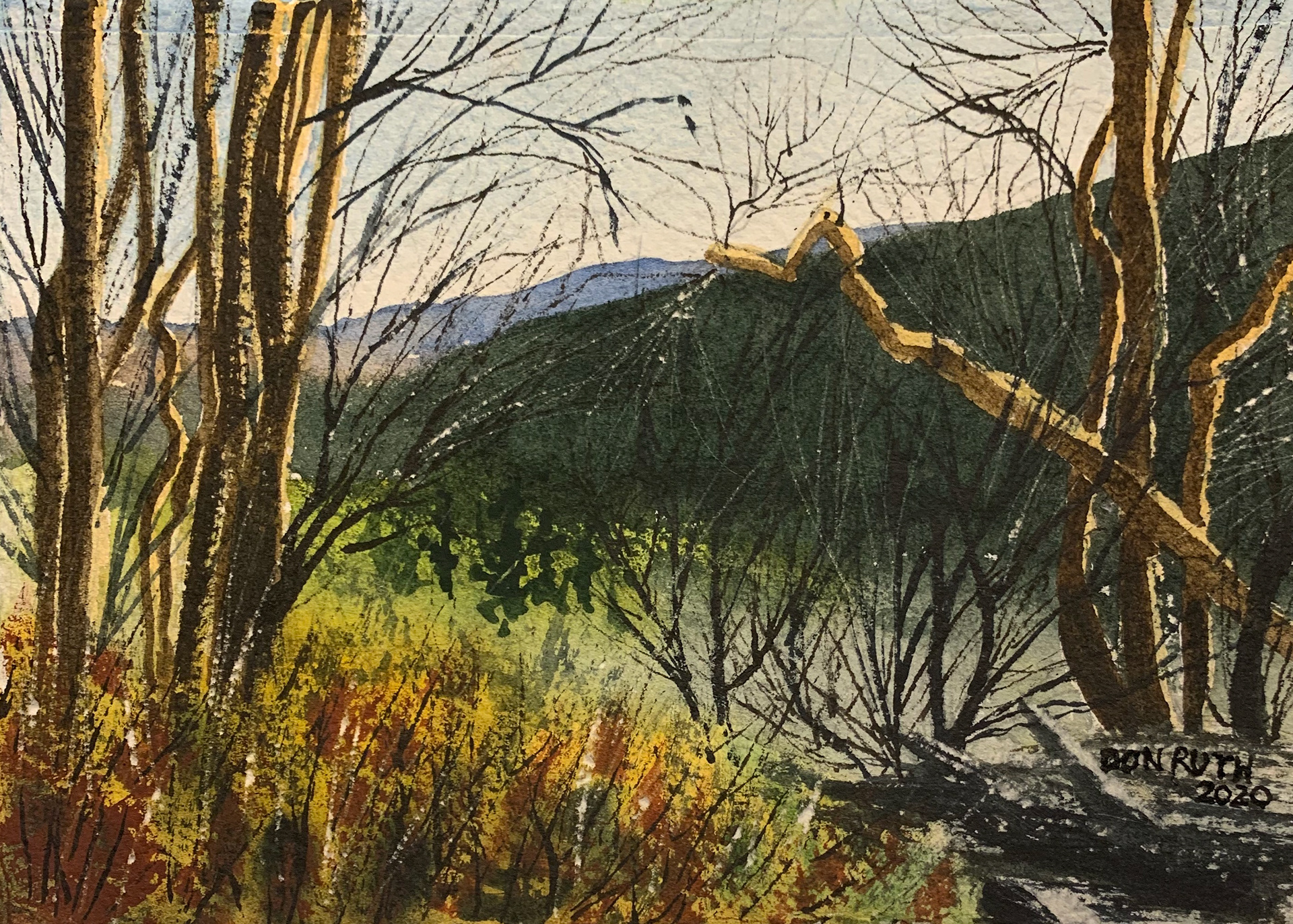 Scratch with exacto knife for more highlights and branches