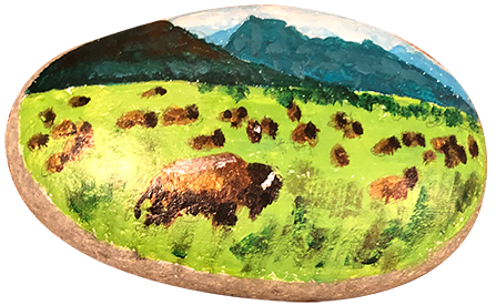 Don Ruth the Works Painted Rock Where the Buffalo Roam