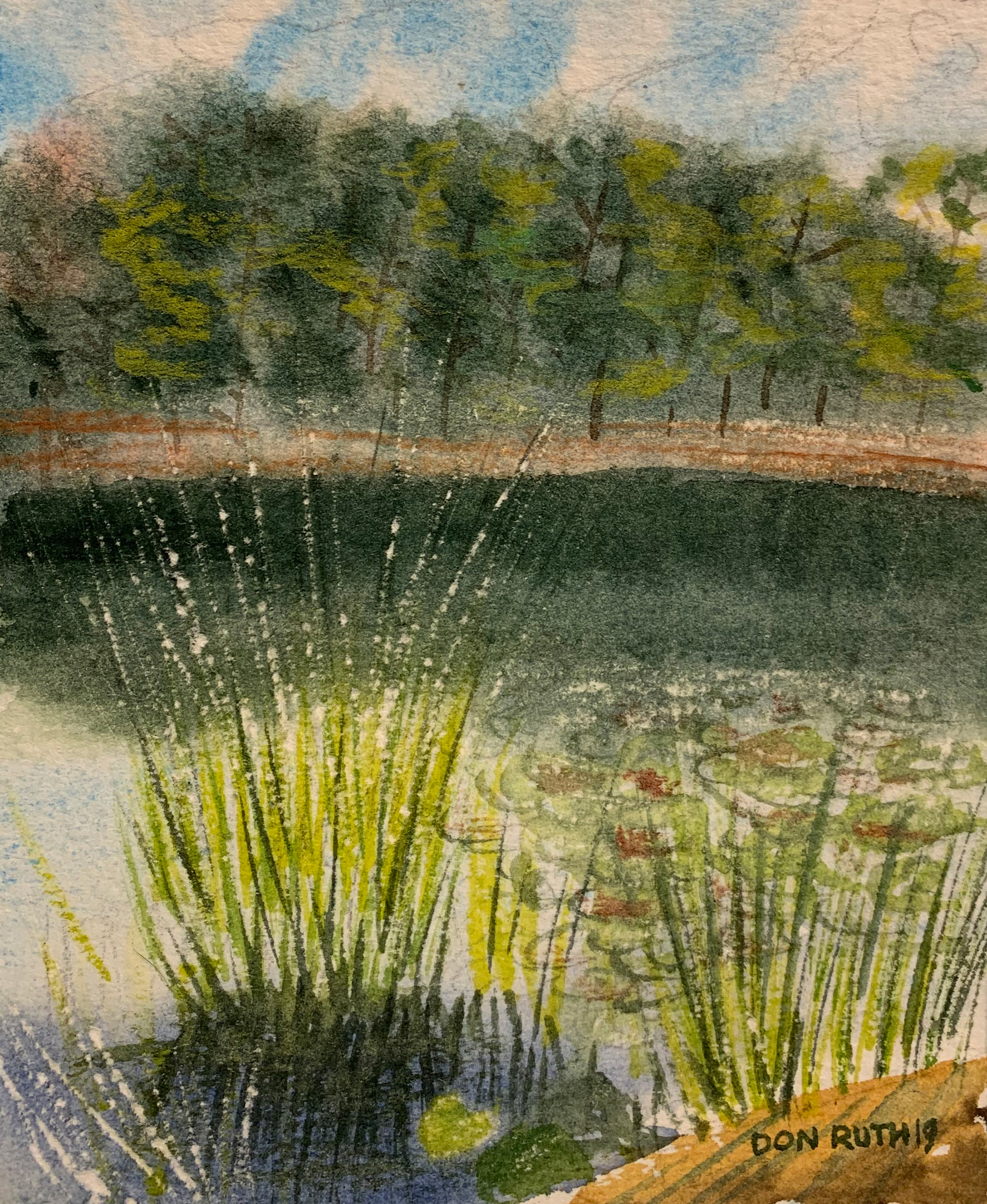 Watercolor Holly Ranch Lake TX Don Ruth the Works