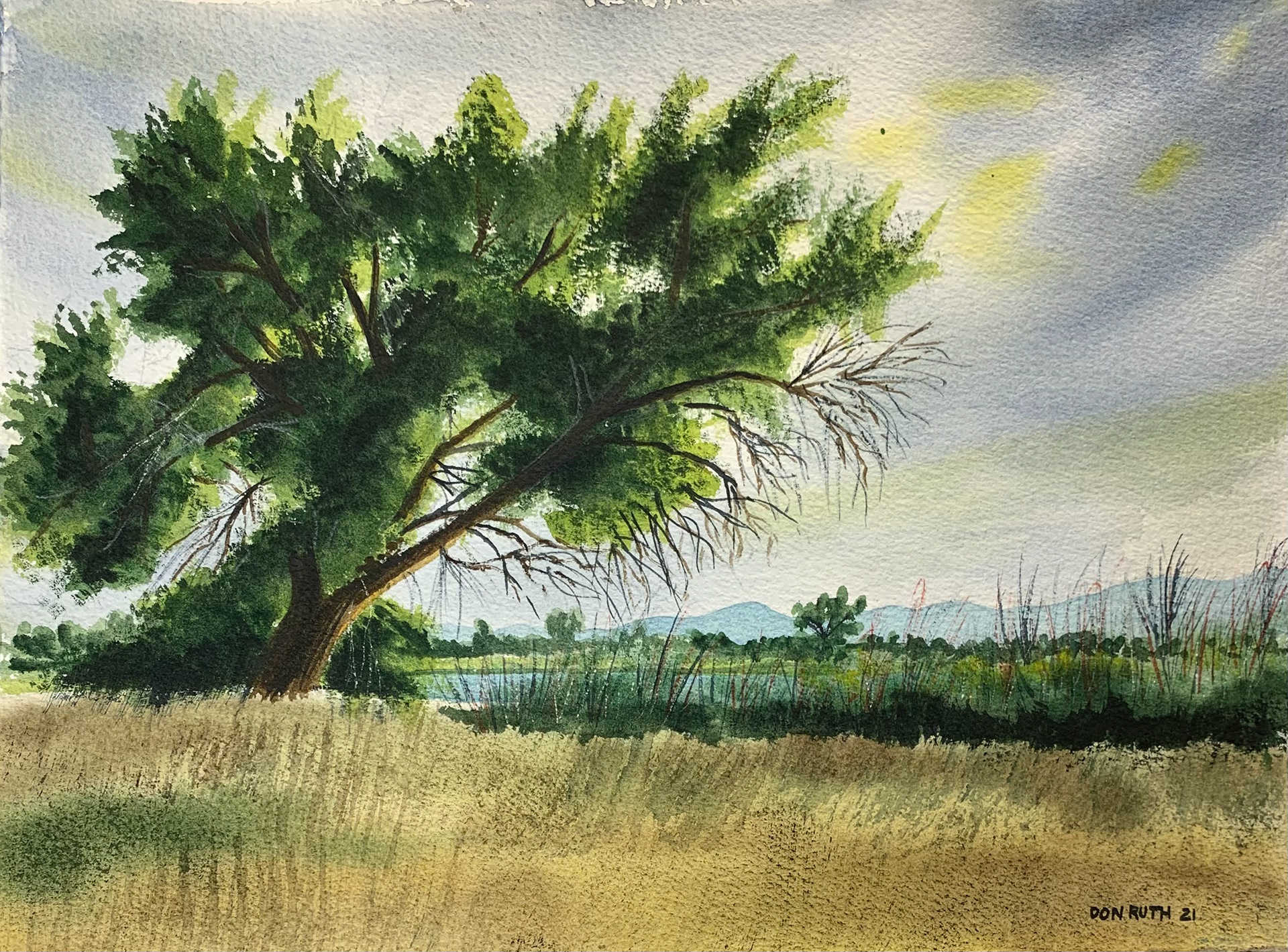 Watercolor Sunset on Lake Harper Don Ruth the Works