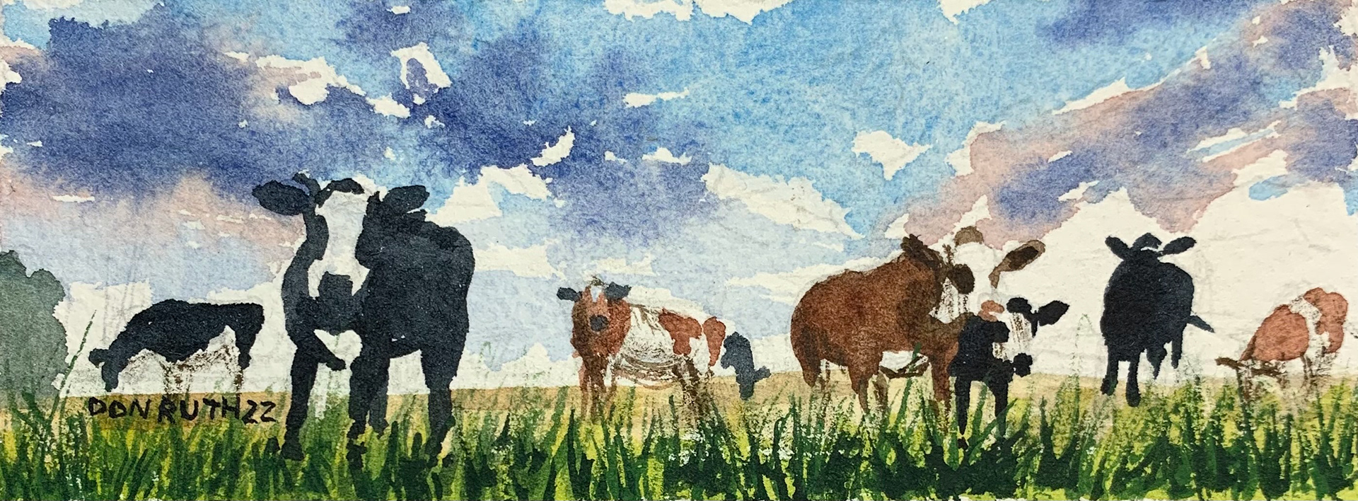 Watercolor Interested Cows donruththeworks
