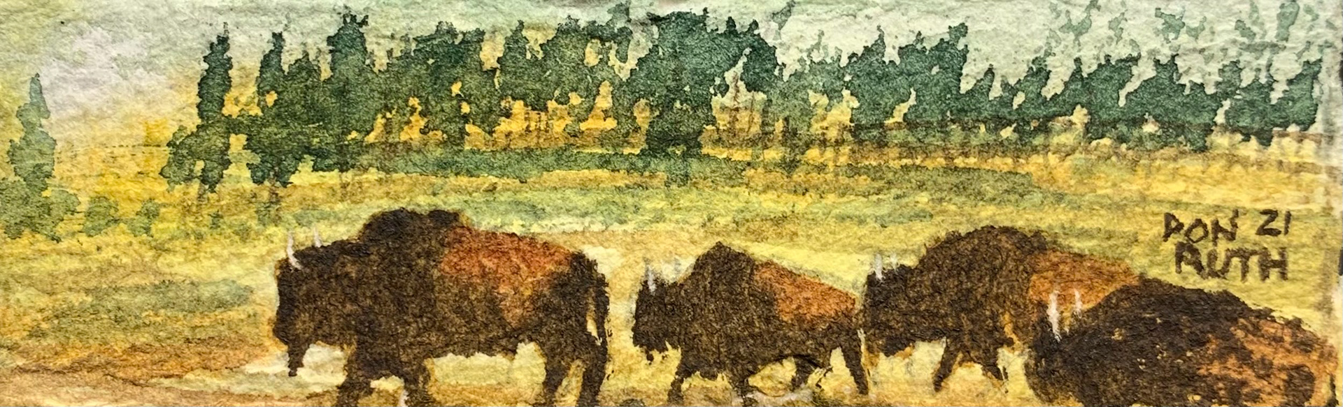 Watercolor Buffalos donruththeworks