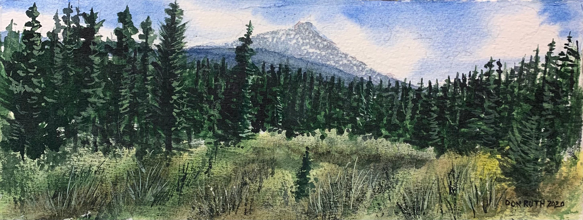 Erase pencil lines, add highlights to trees and grass and mountain