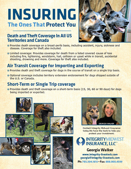 Marketing Advertising Integrity Midwest Insurance