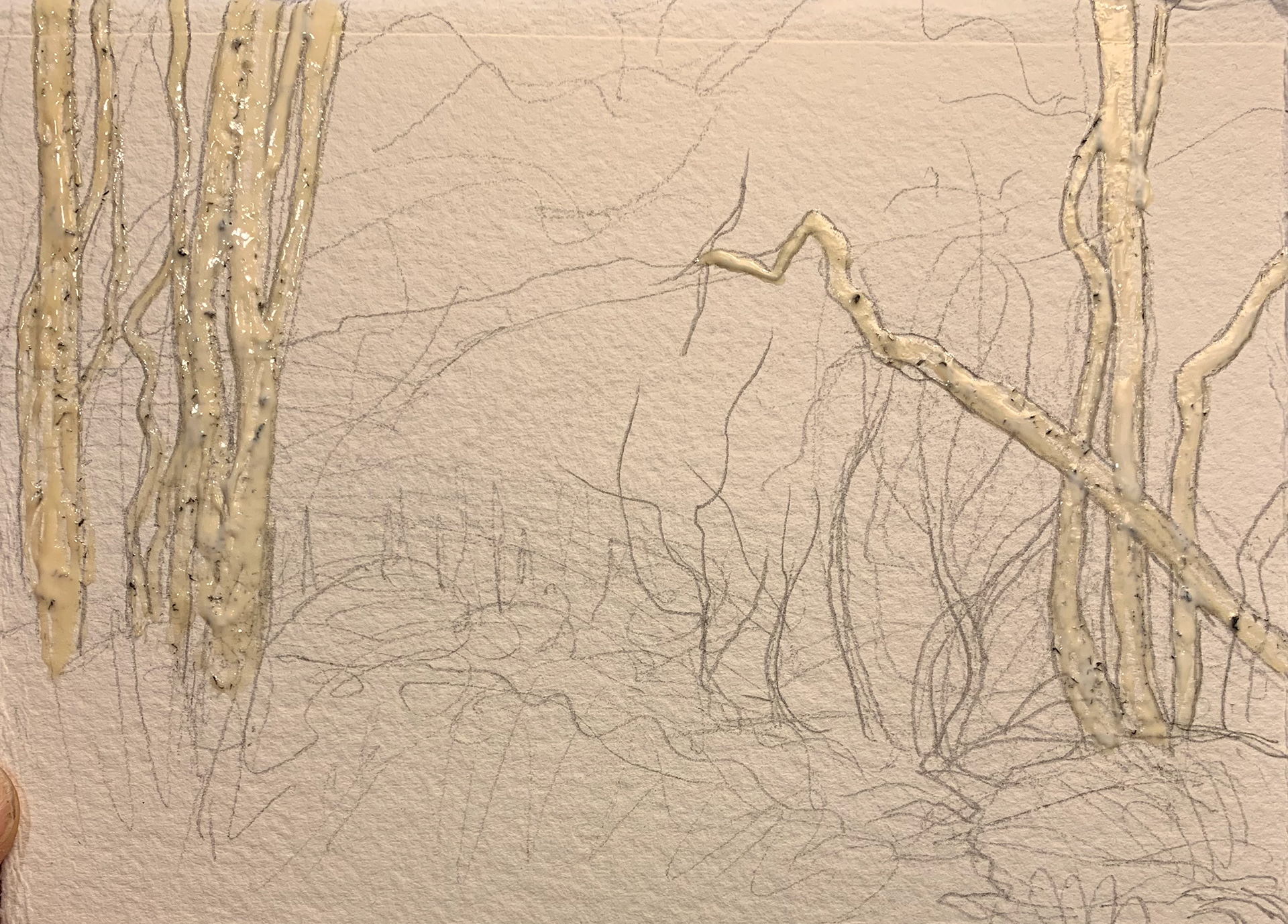 Mask out trees with Miskit