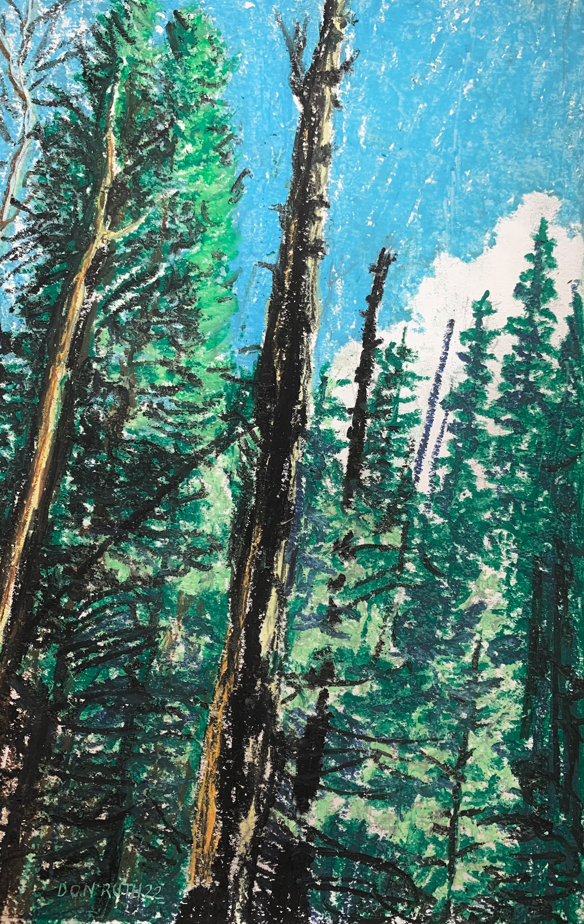 Oil Pastels The Memory Trees donruththeworks