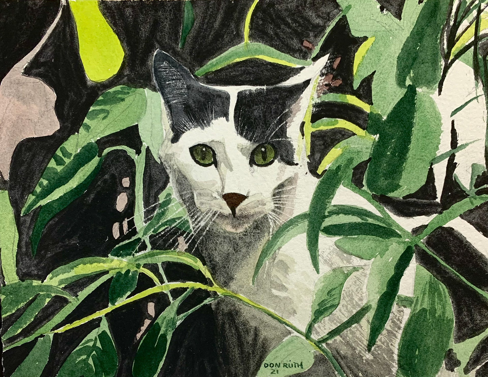 Jungle Cat Don Ruth the Works Watercolor