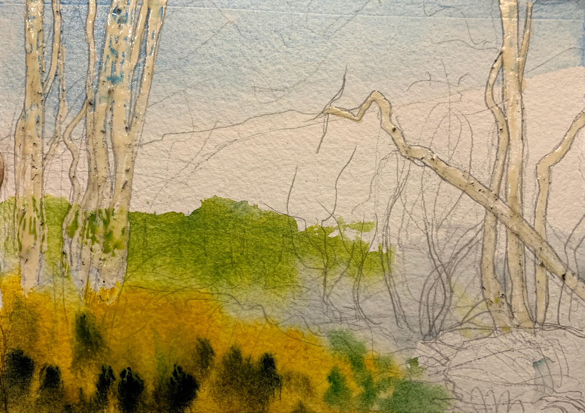 Add in washes for sky, valley and foreground bushes
