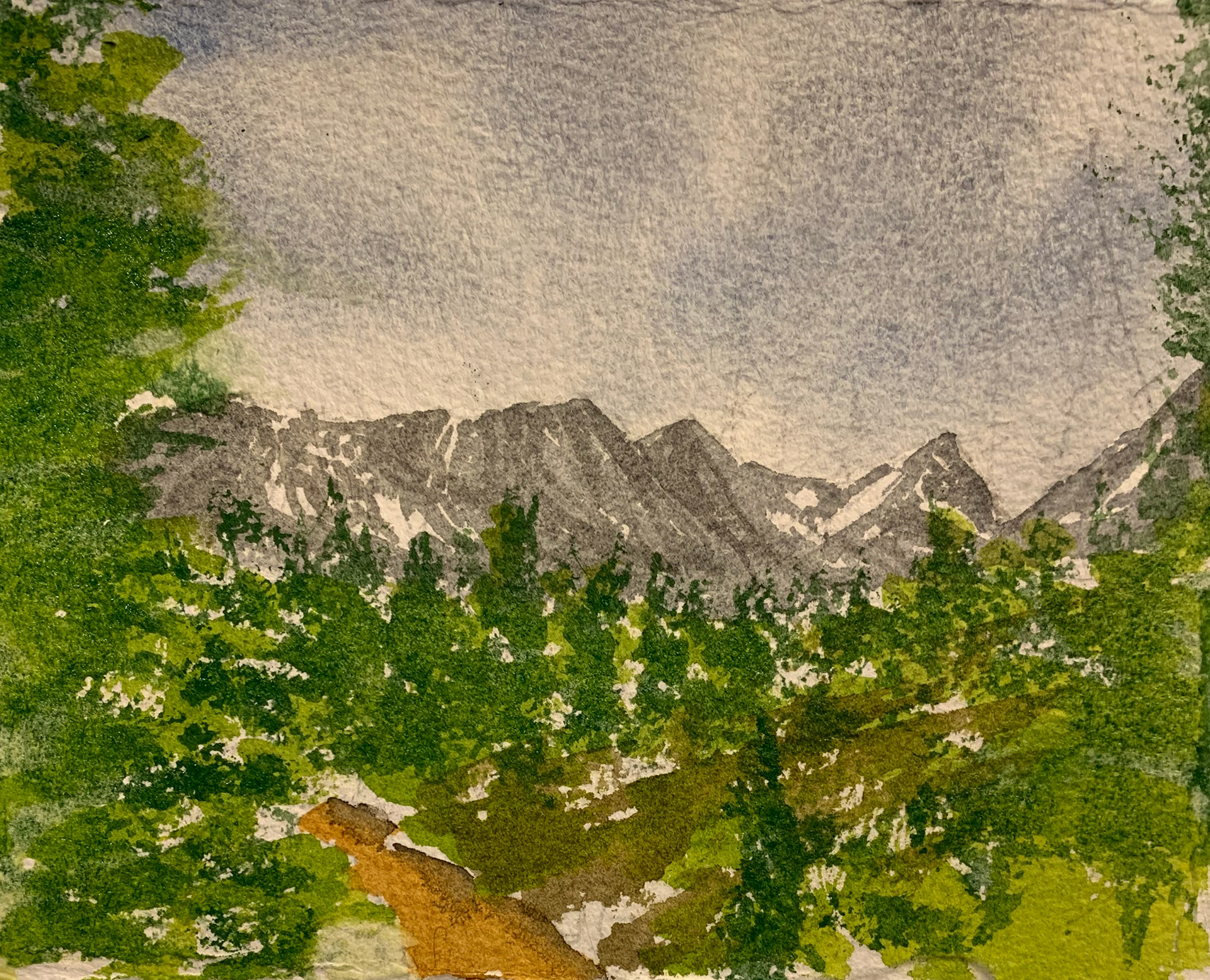 Add in middle green color for the trees.