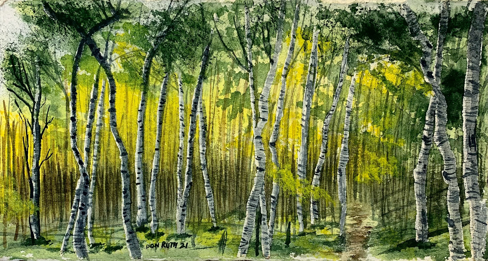 Watercolor Aspen Forest Bailey CO Don Ruth The Works