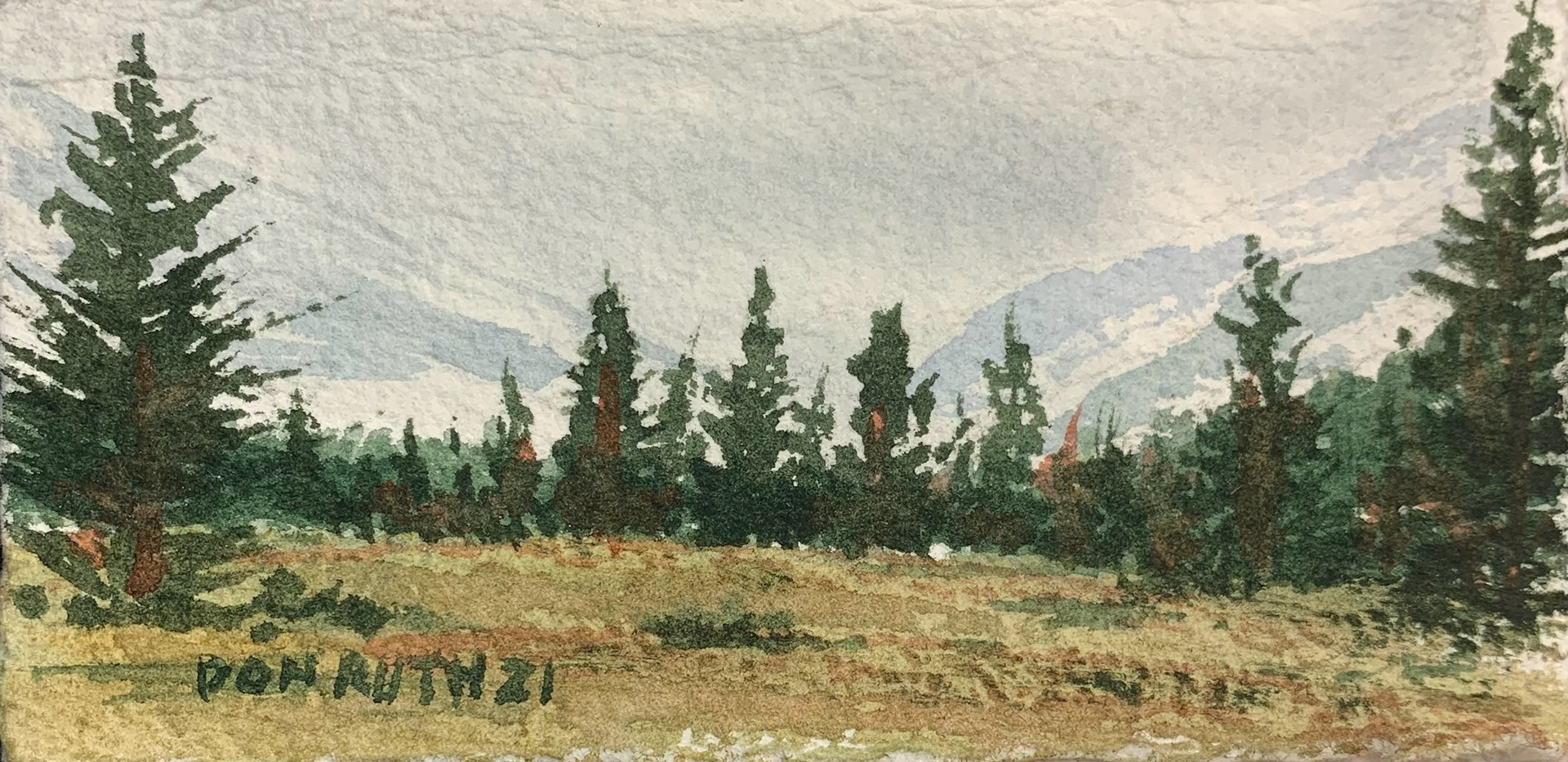 Socked in Mountains Don Ruth the Works Watercolor