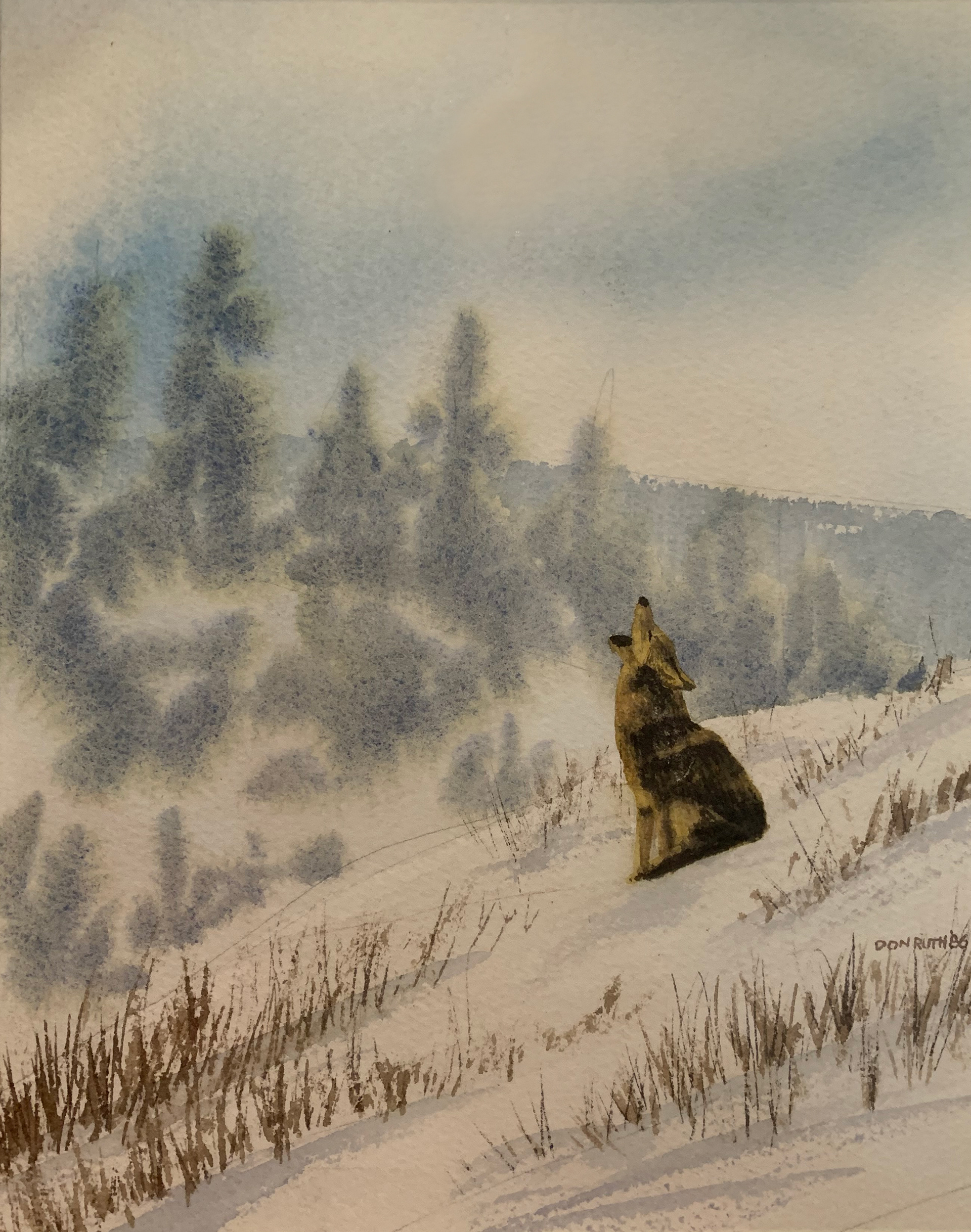 Don Ruth the Works Watercolor Winter Wolf