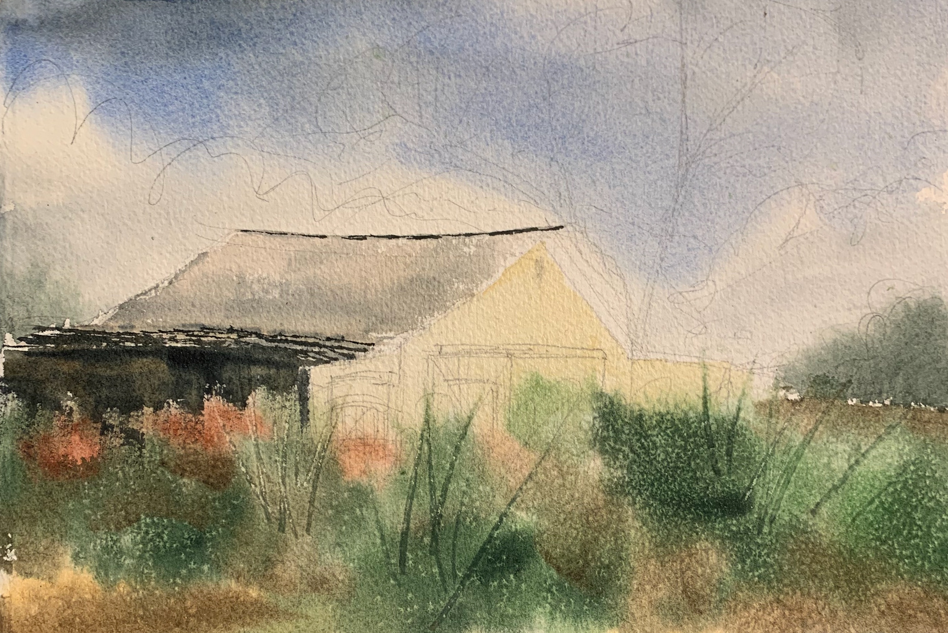 Building washes and salt to foreground washes