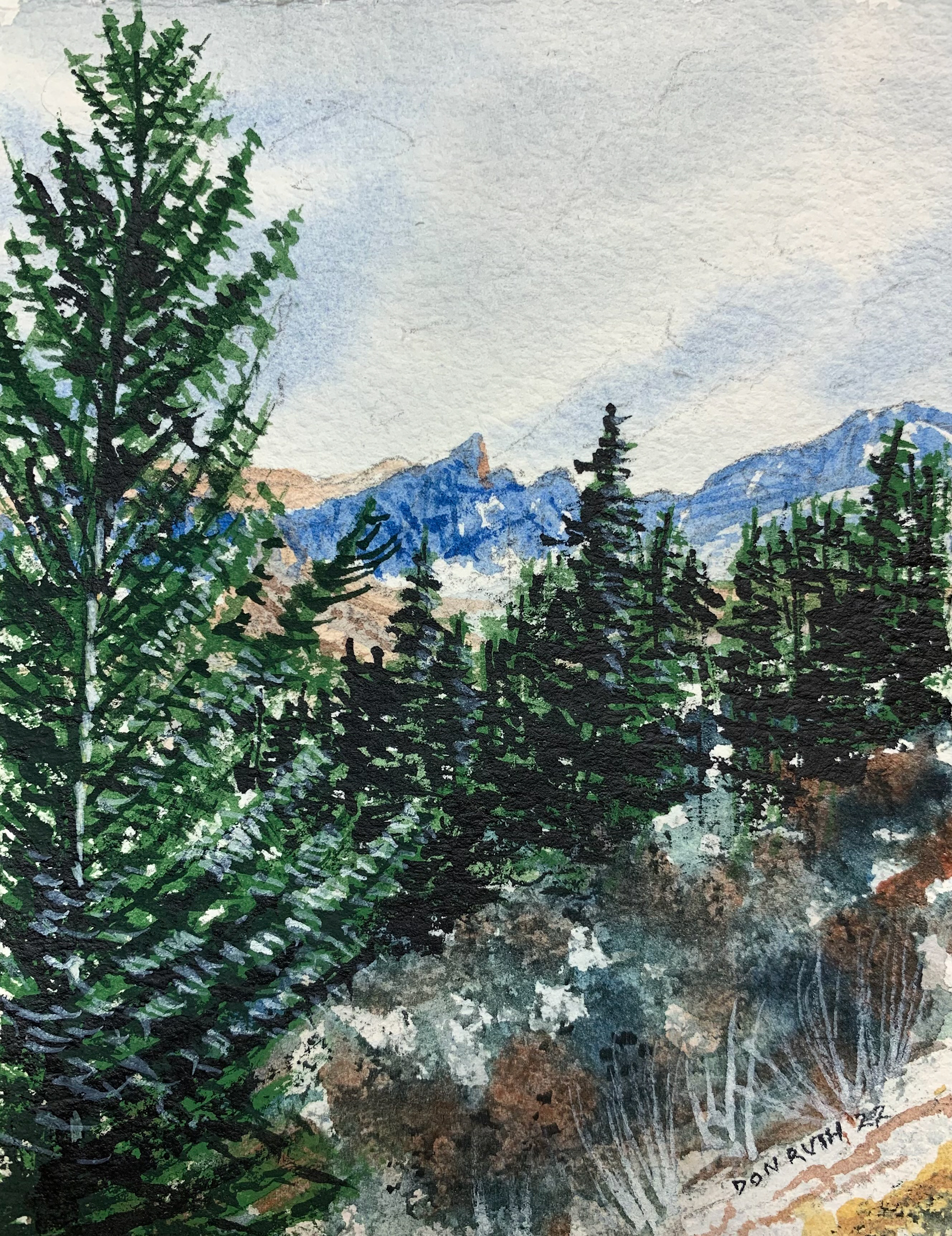 Watercolor Beirstadt Morning donruththeworks