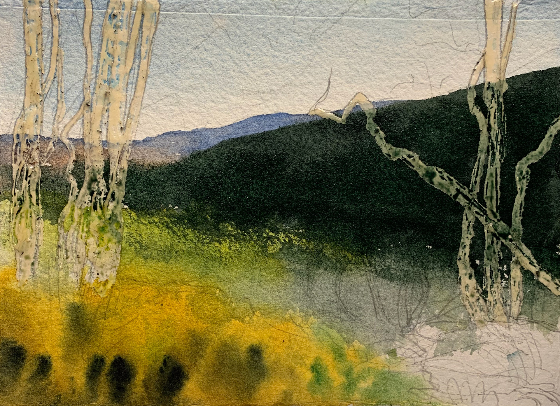 Paint close and distant mountains