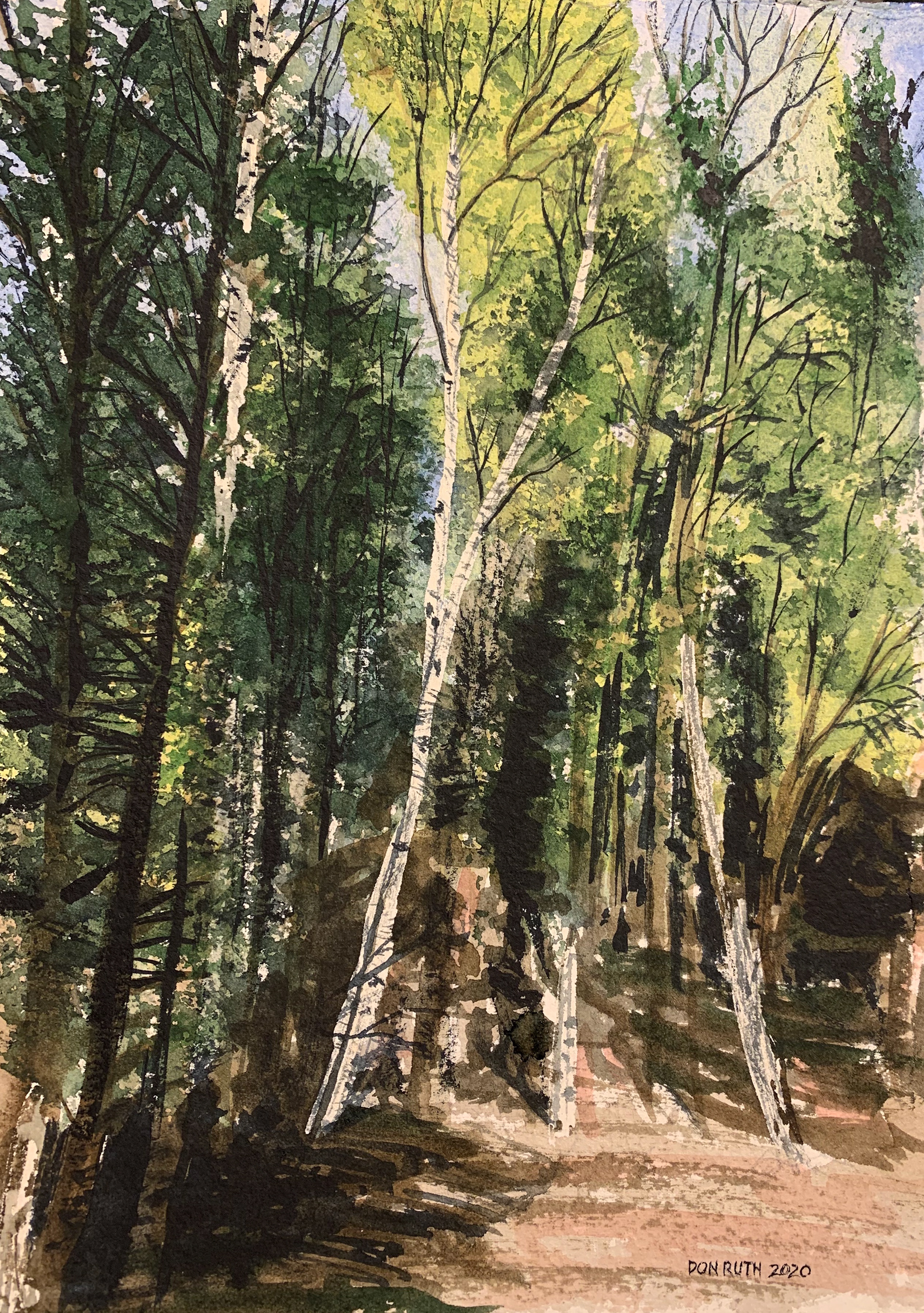 Watercolor Into the Woods Don Ruth The Works