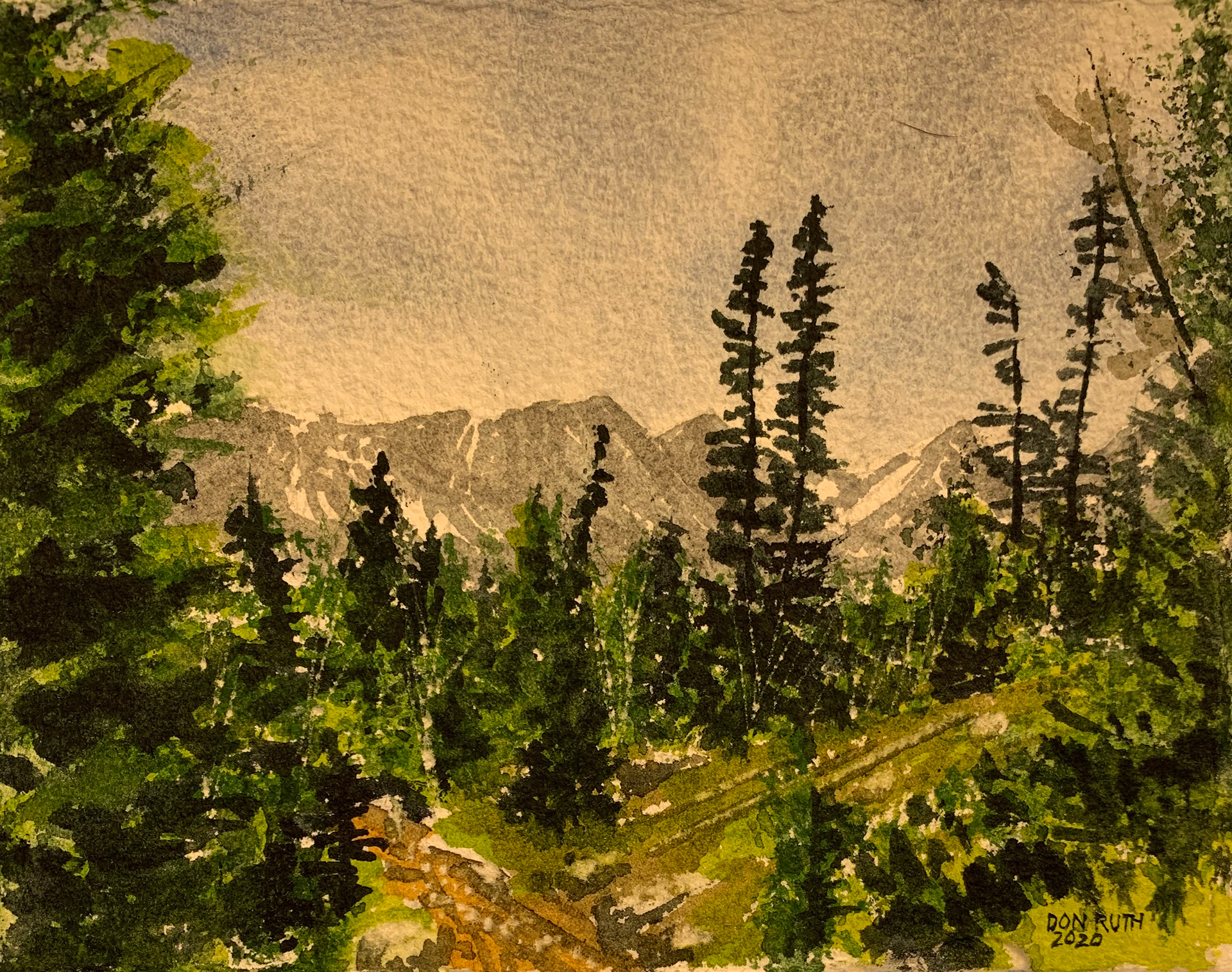 Amidst the Trees Watercolor Don Ruth the Works