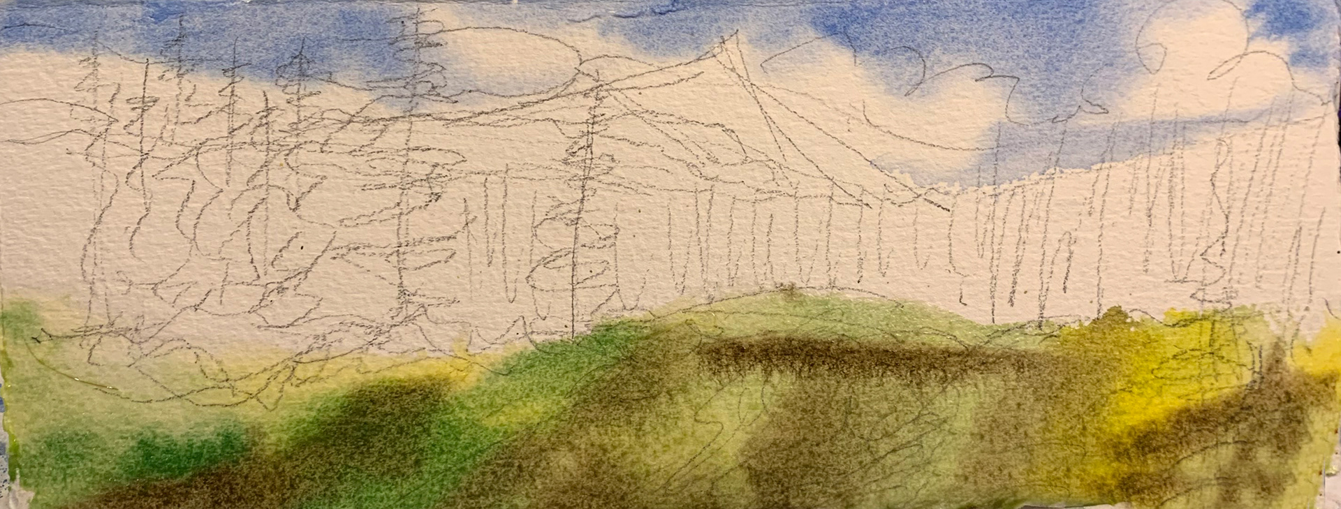 Foreground foliage washes