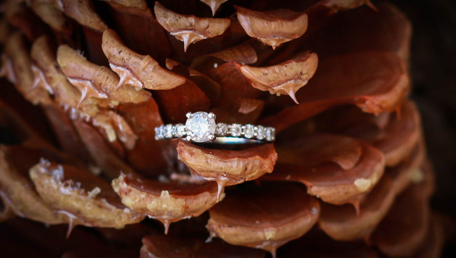 Megan & Austin's Session