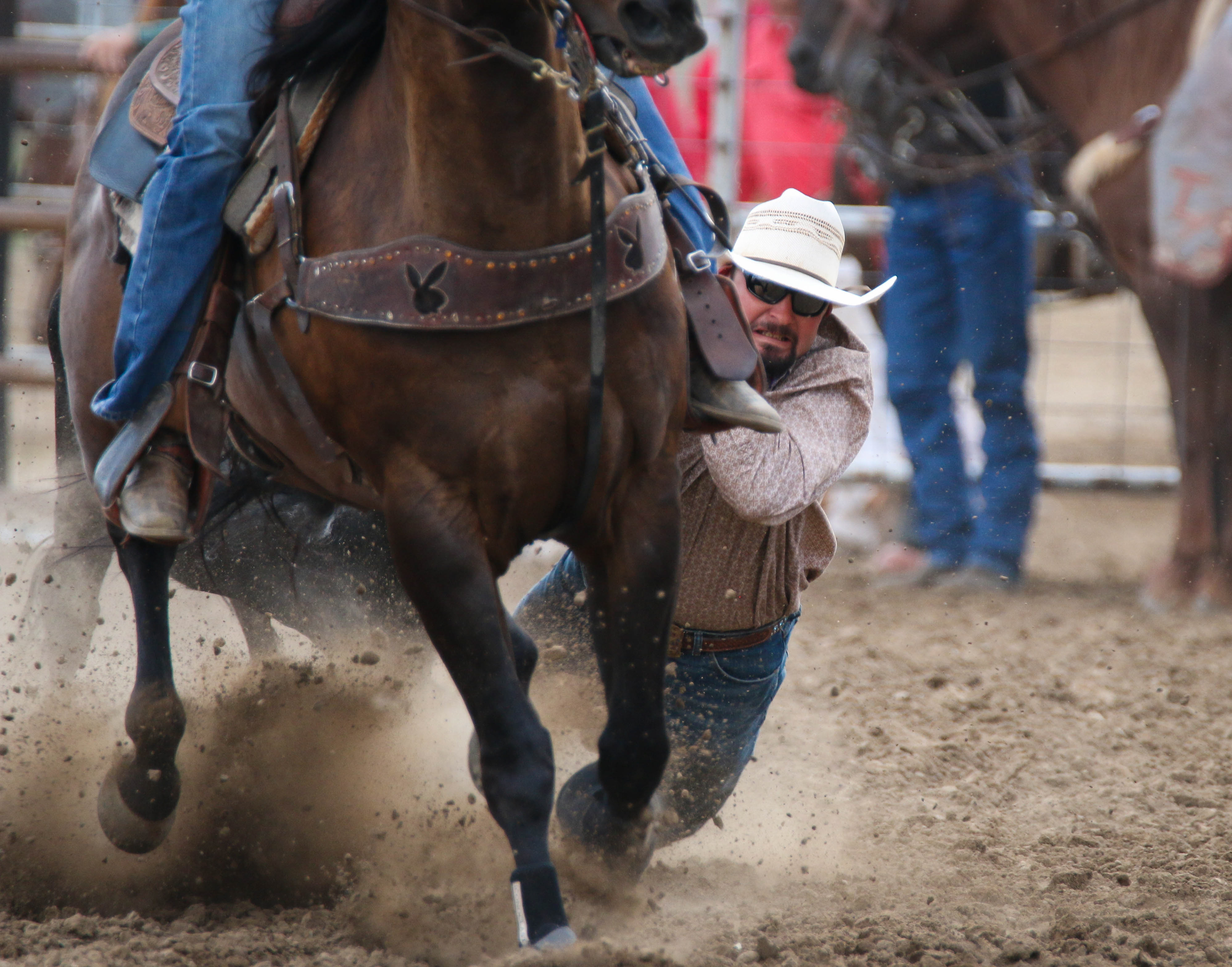 Las Animas County Labor Day Rodeo, Trinidad, CO 2016