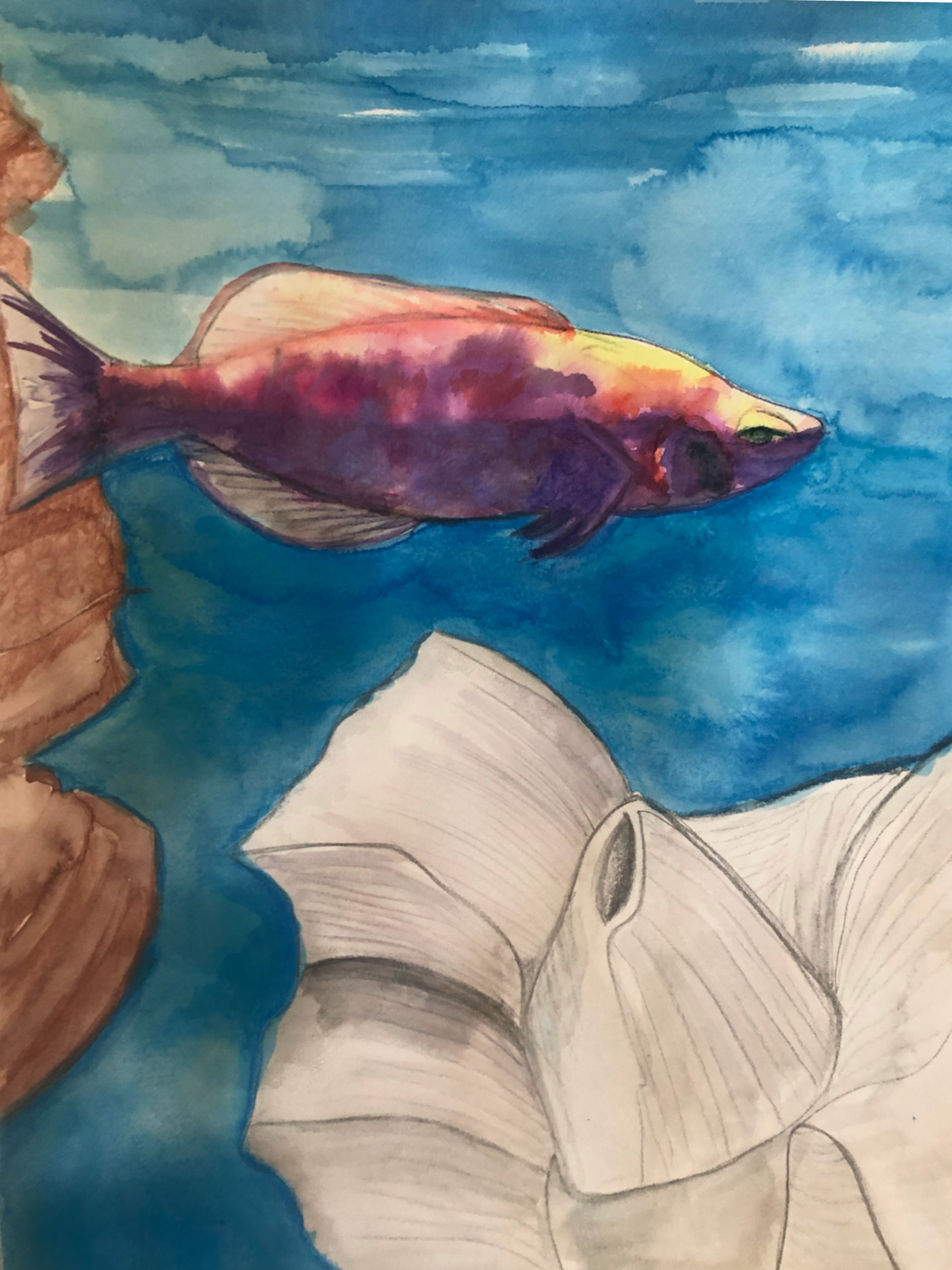 Watercolor