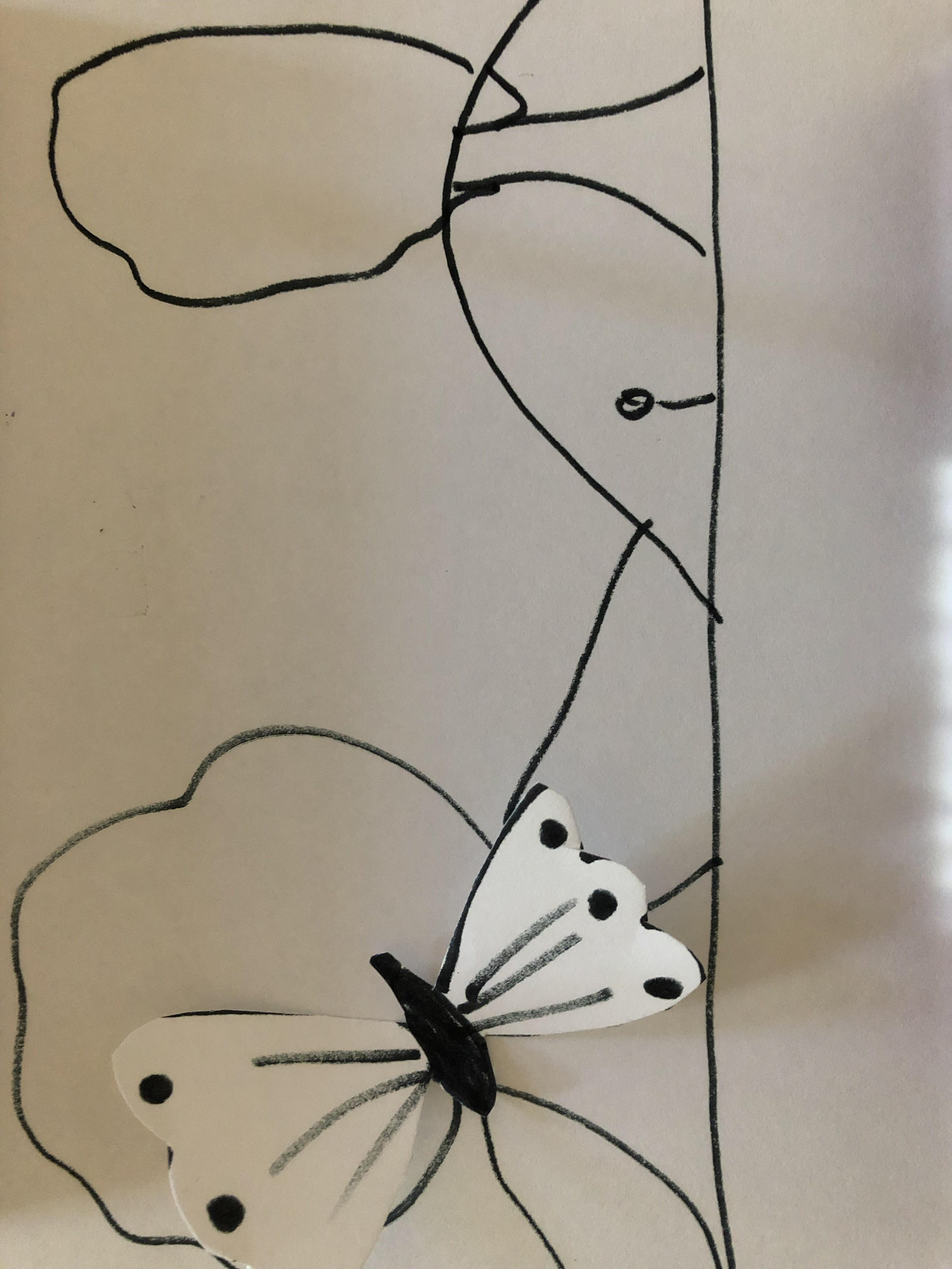 Animation