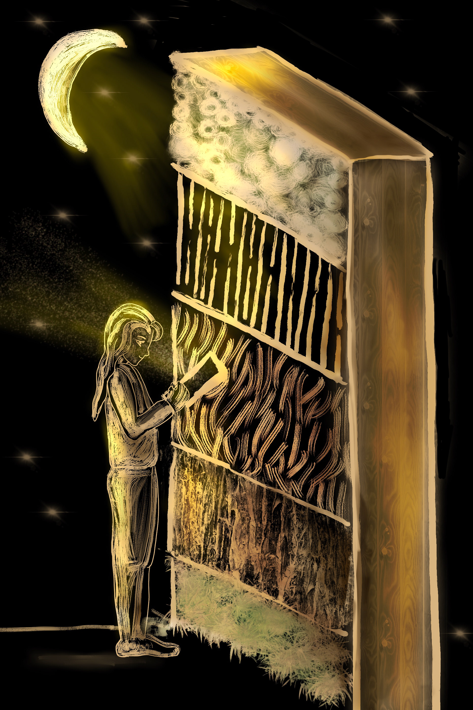 Digital Illustration