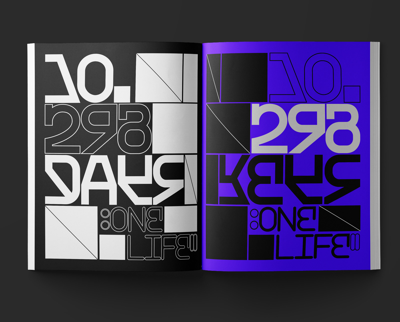 Layouts created for the publishing world
