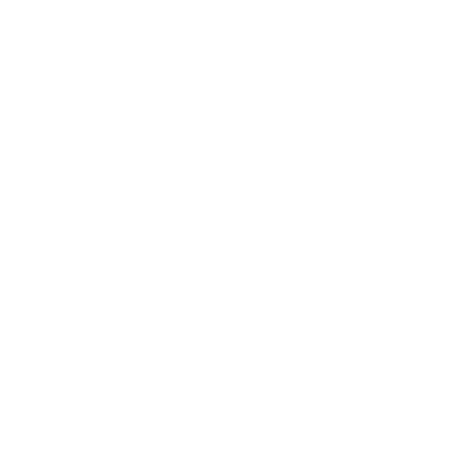 Terry Minh