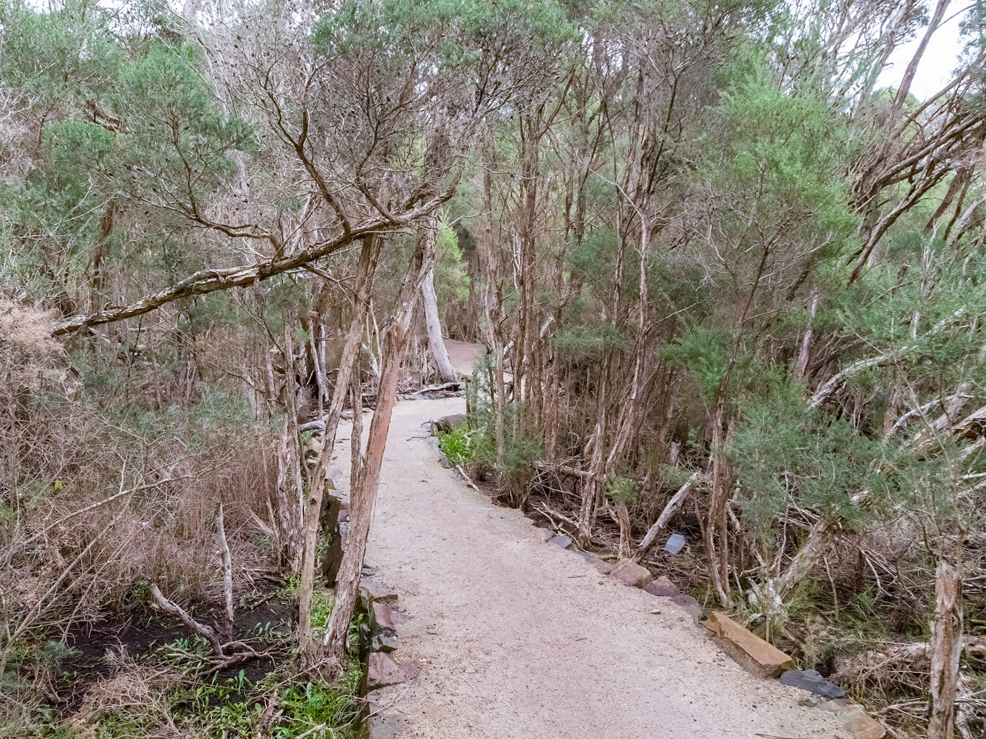 Brid River Trail, Bridport