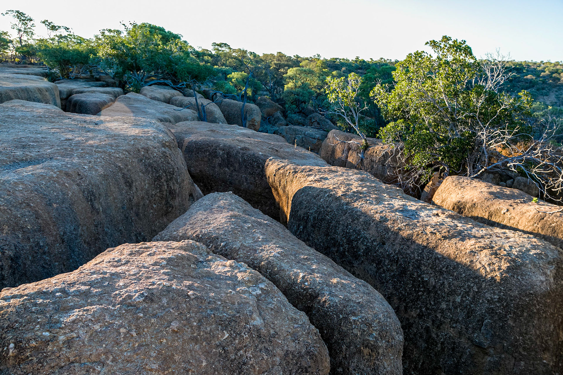 Rifts, at Rangelands Station, Winton