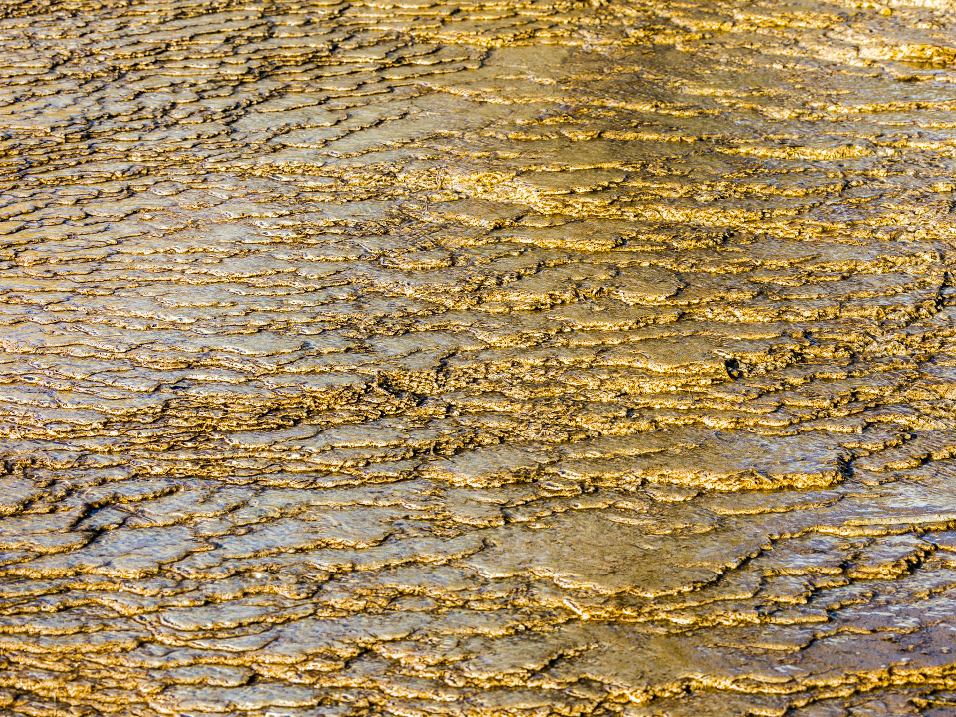 Upper Terraces, Mammoth Hot Springs. Yellowstone National Park, Wyoming.