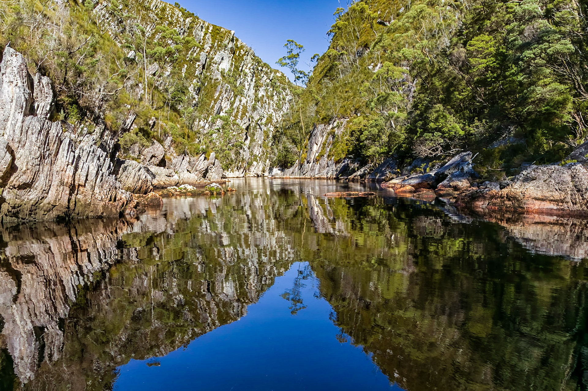 In the Davey River Gorge.