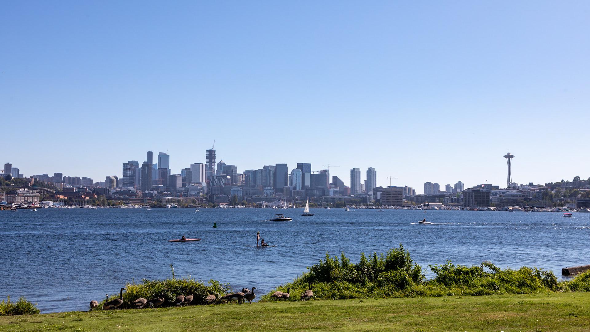 Seattle northern skyline viewed from Gas Works Park  on Lake Union
