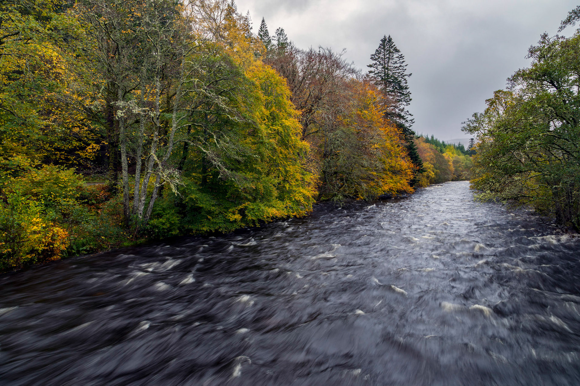 Fast-flowing River Broom